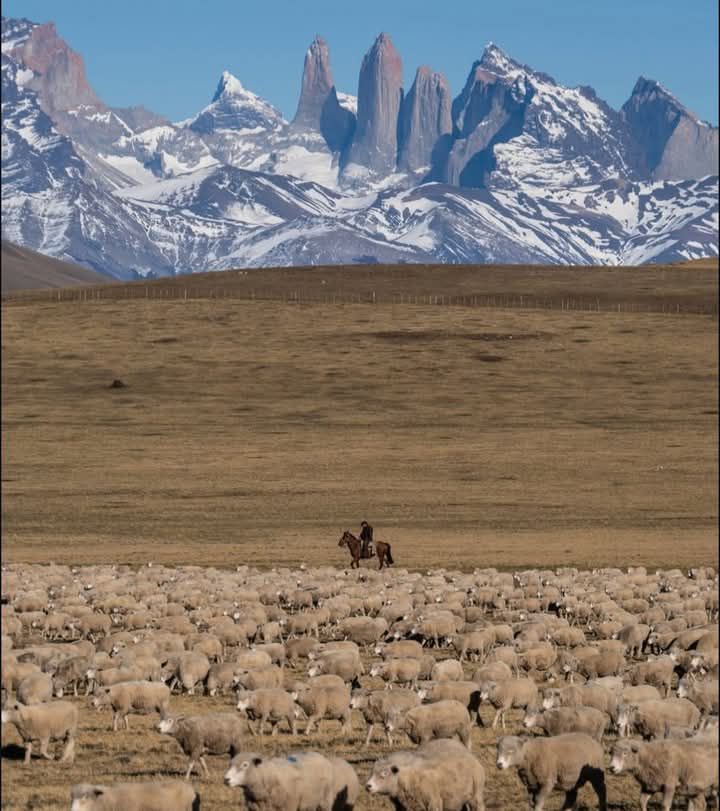 🔵 Desde la Patagonia, en El... - Festival de Roca y Montaña | Facebook
