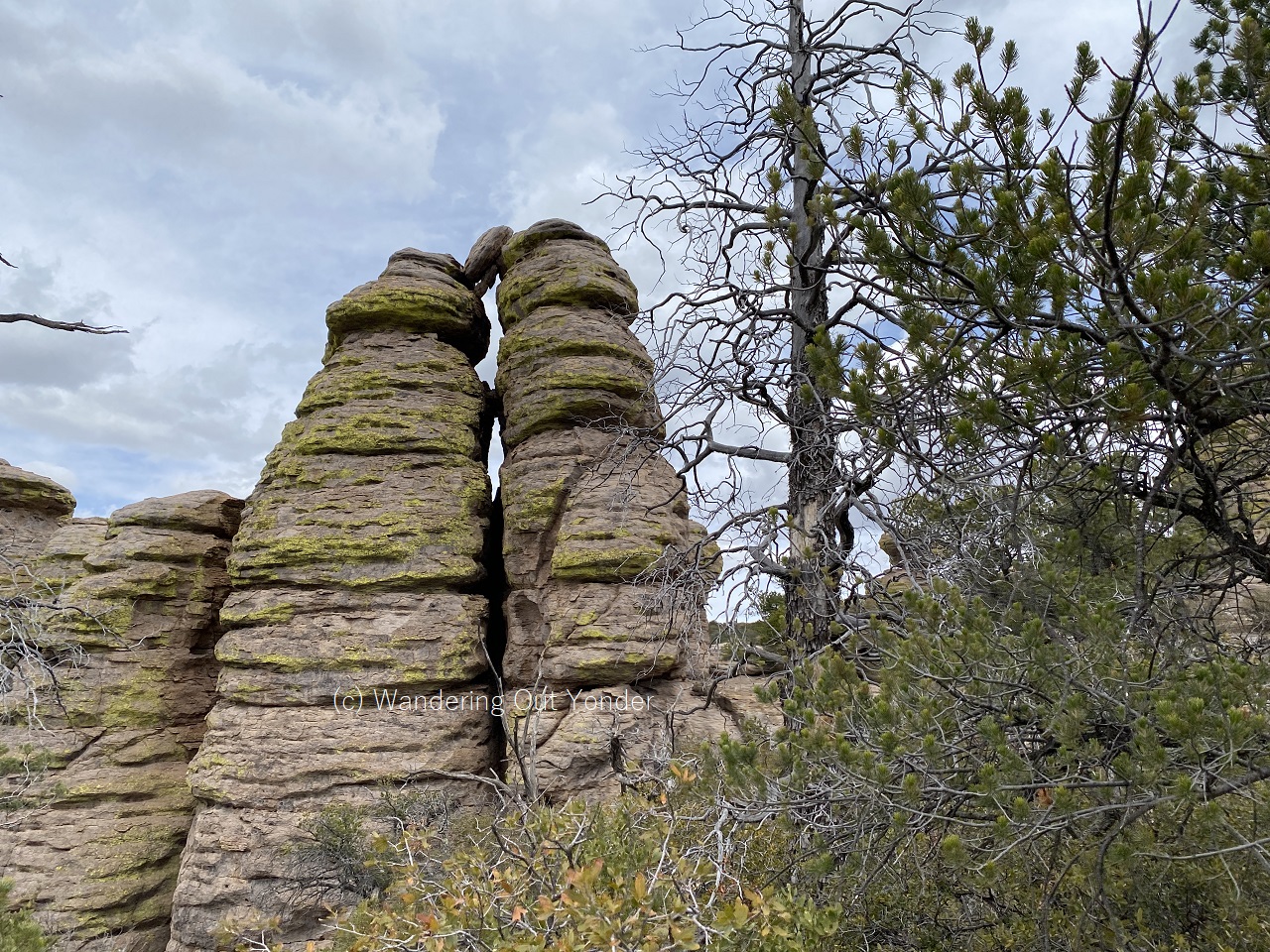 The Wonderland of Rocks