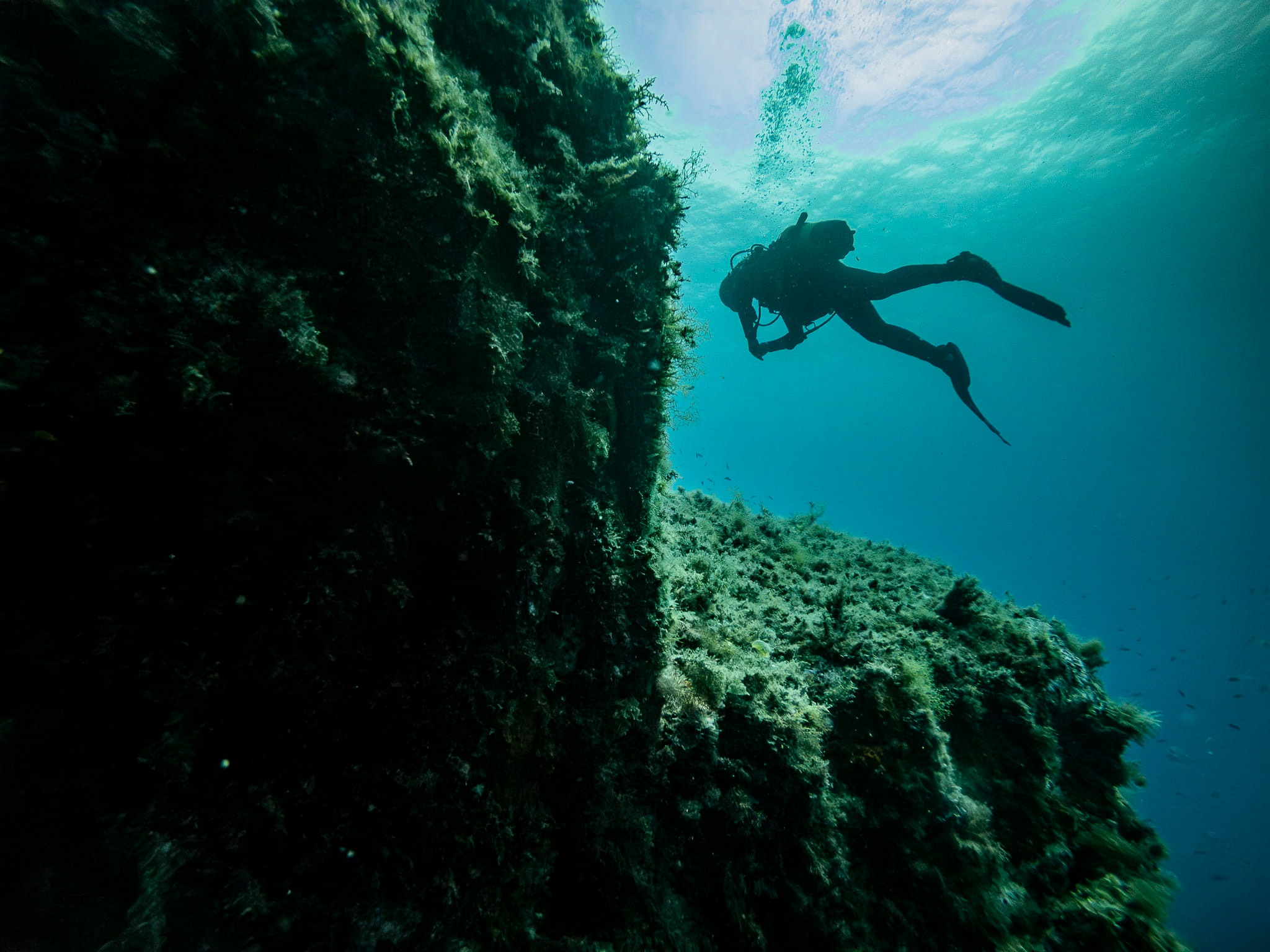 🌺 Rapa Nui es un tesoro… y su mar,... - Rapa Nui Dive Center | Facebook