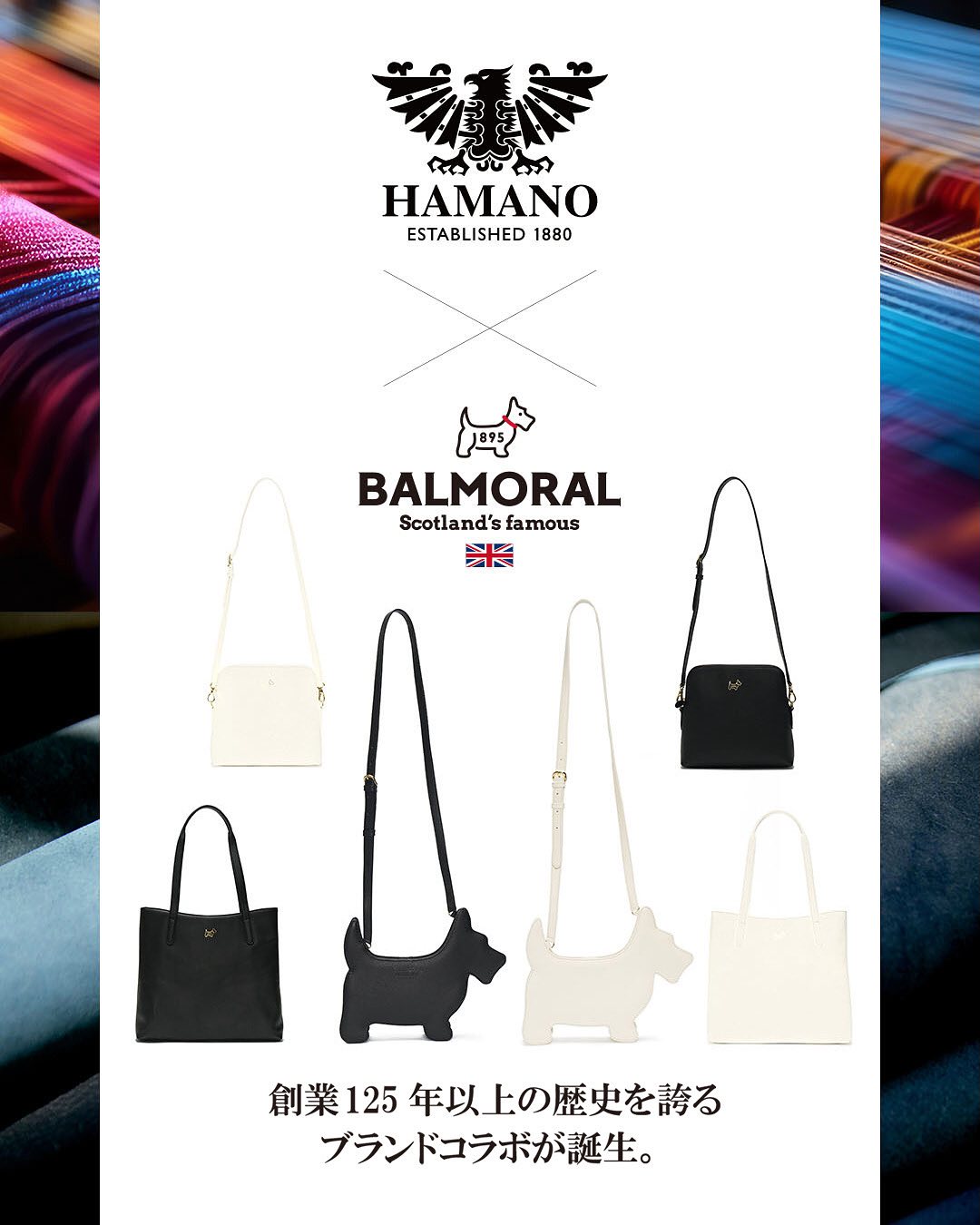 HAMANO×BALMORAL HAMANOと創業125年以上の歴史を誇るイギリスの老舗の