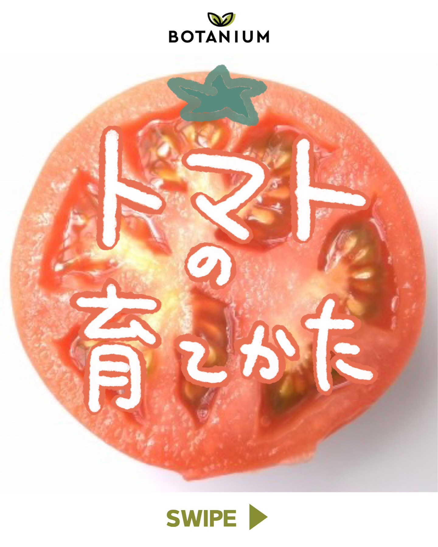 Botanium Japan - @botanium.jp 👈🏻気になる詳細をチェック...