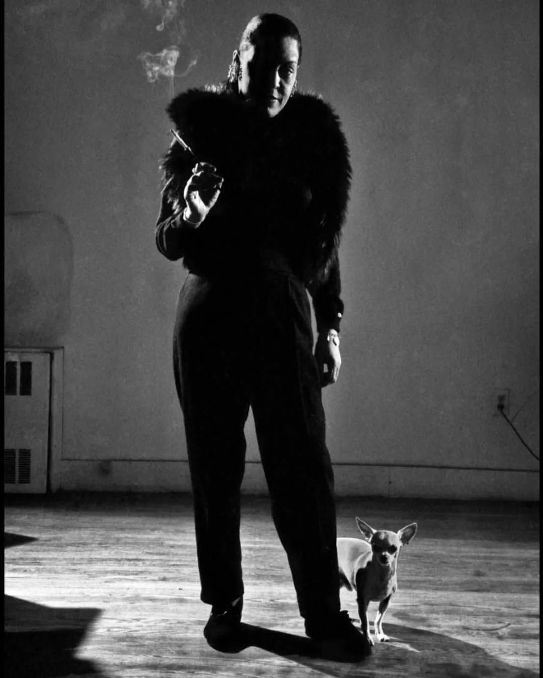 本 PLAISIR DU JAZZ 写真集 Dennis Stock 1959年
