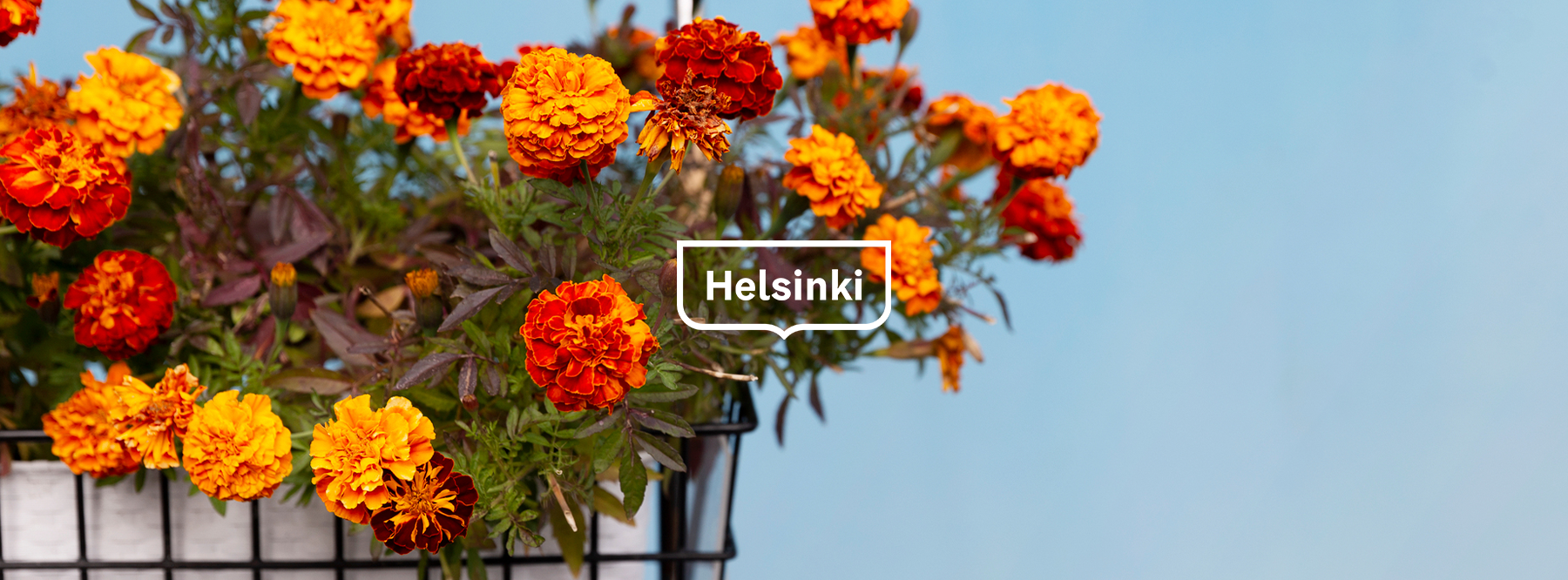 Seniorikeskus Helsinki - 