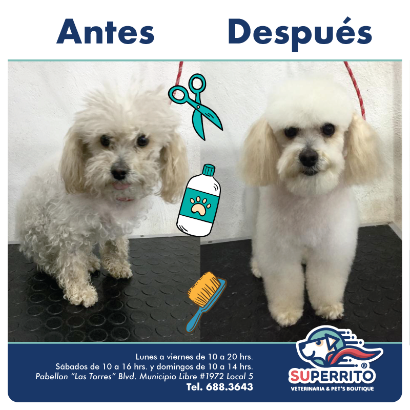 Superrito - 🙋‍♀️ RECUERDA QUE TODOS LOS DÍAS TENEMOS...