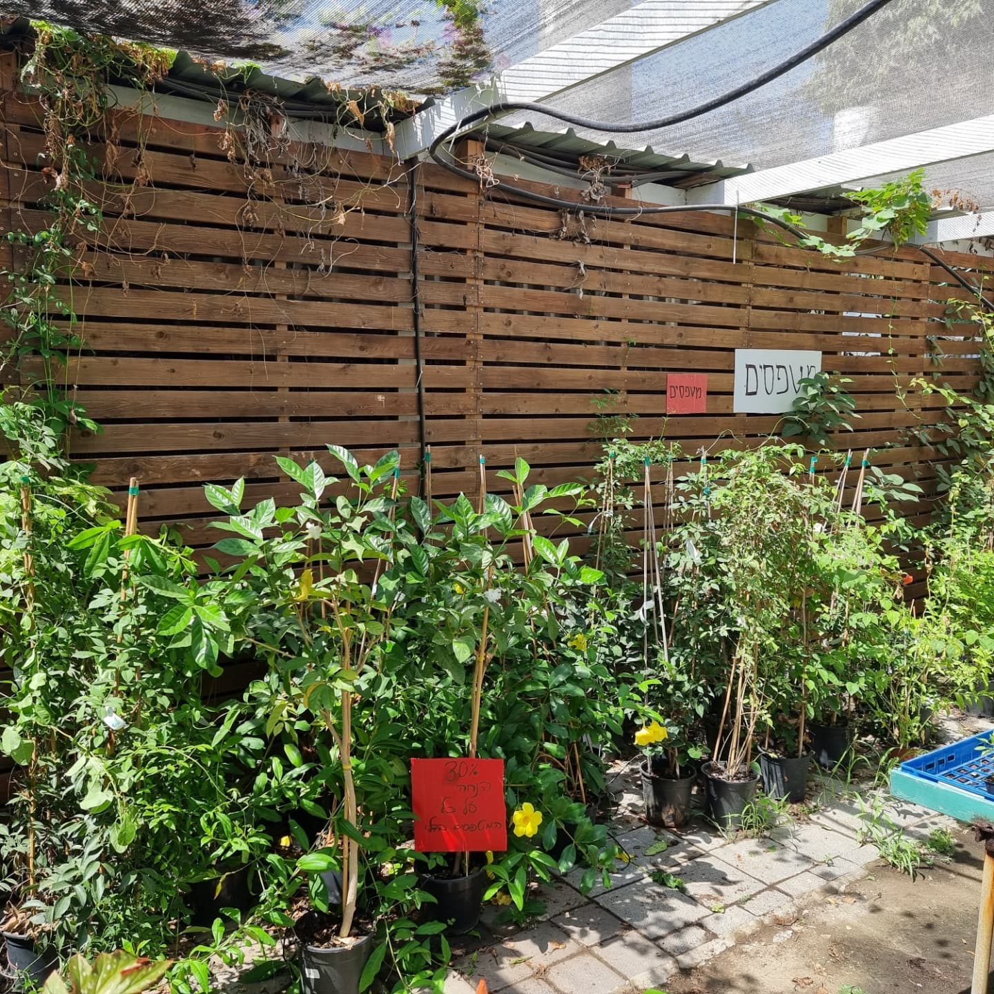 משתלת בית ירוק - ‎משתלת בית ירוק‎ added a new photo — at...