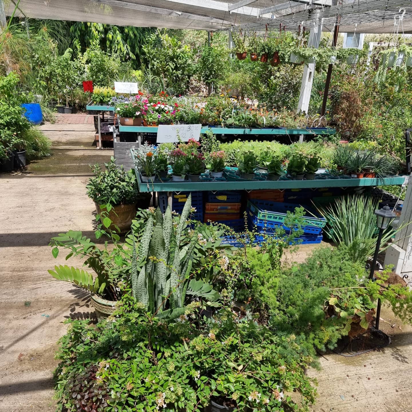 משתלת בית ירוק - ‎משתלת בית ירוק‎ added a new photo — at...