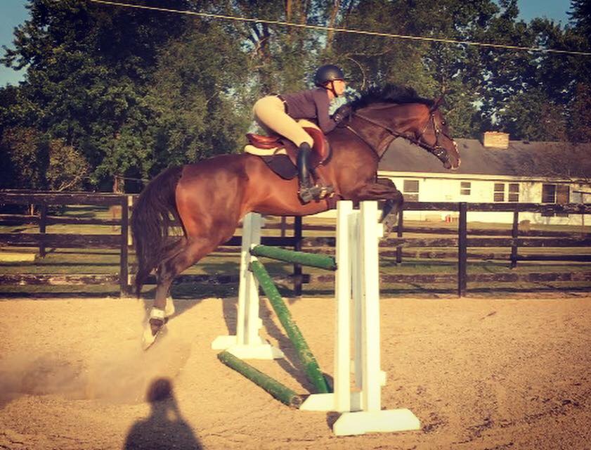 Congrats to Saylor and her trainer... - Azure Ridge Farm