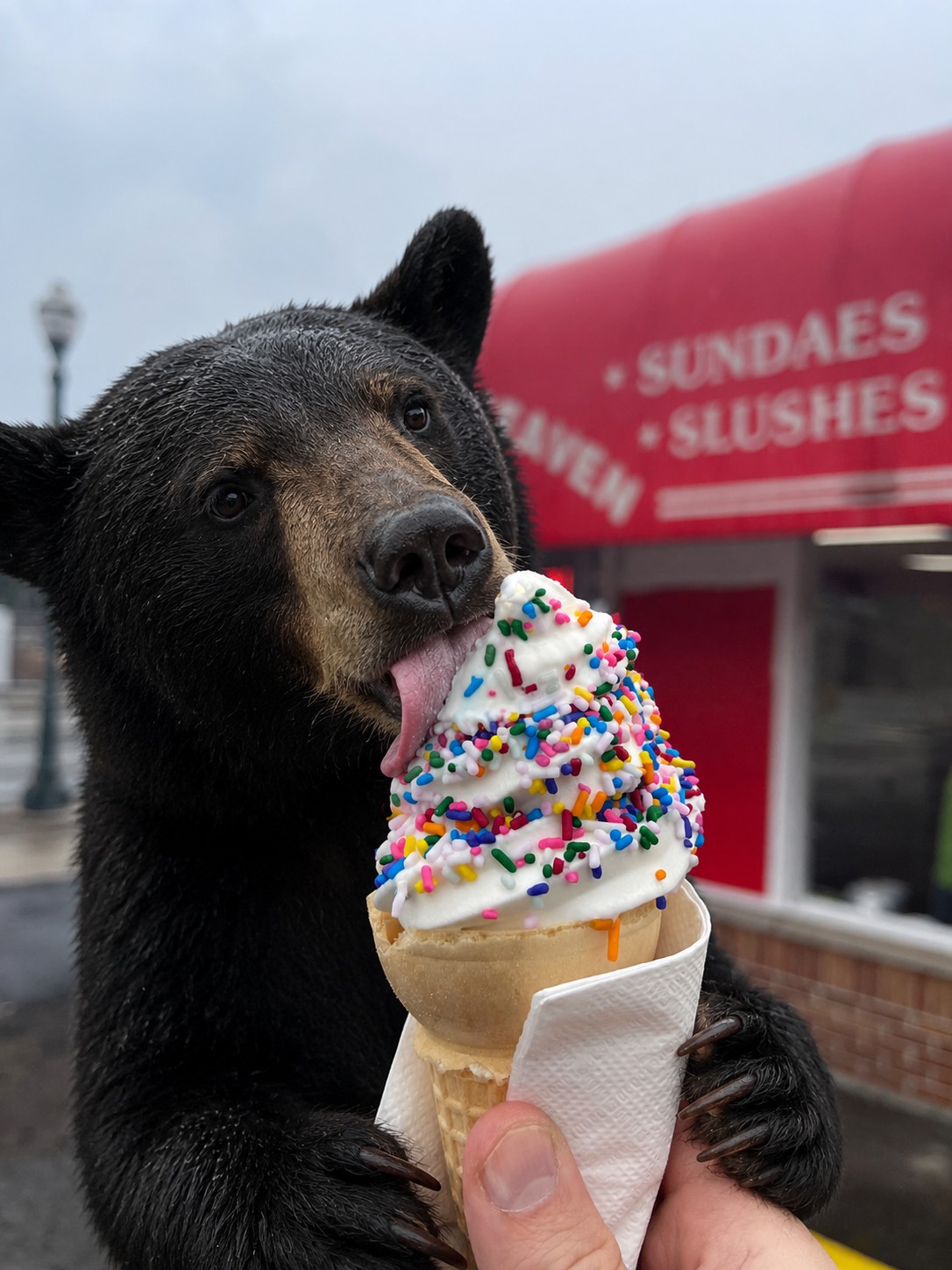 Banana Split Heaven | Melvindale MI