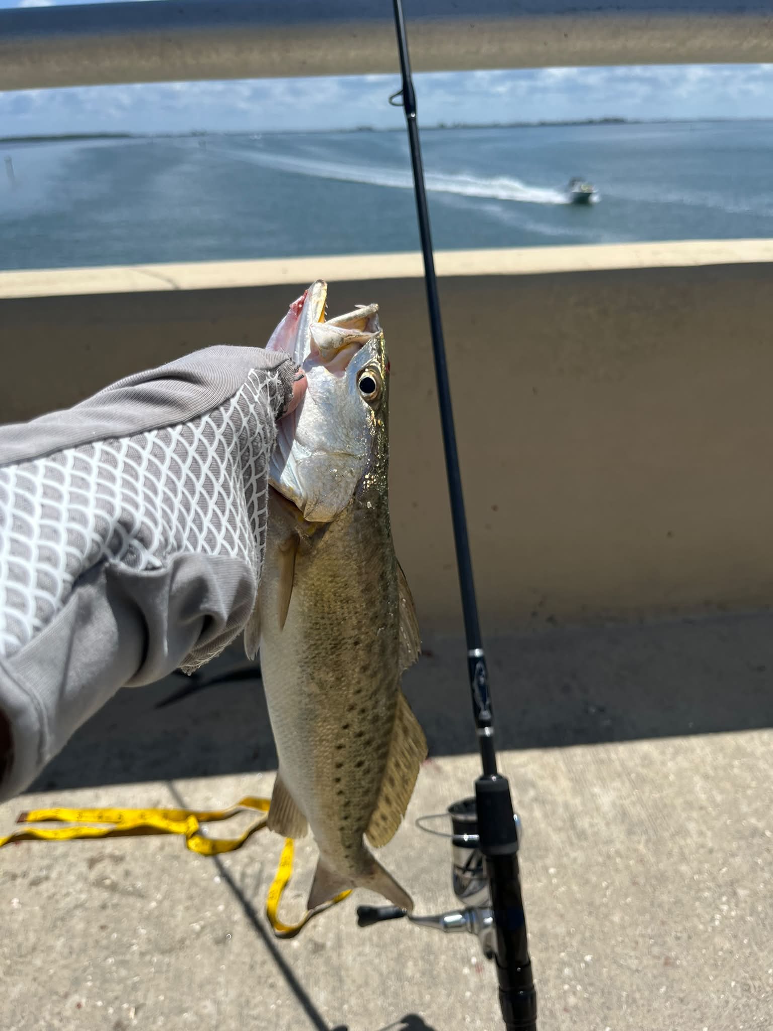 dazy dukes fish net Poster Grl Faux Leather Zip Detail Daisy best valentines day gifts for girlfriend Cute presentation for the Daiwa BG 2500 Spinning Color:White Red Fish Scale