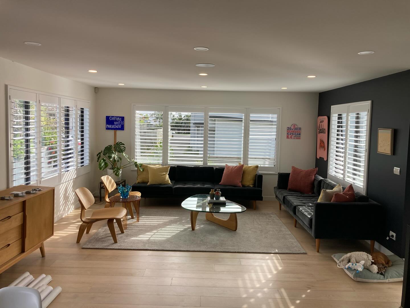 Ata Home Experts | Auckland