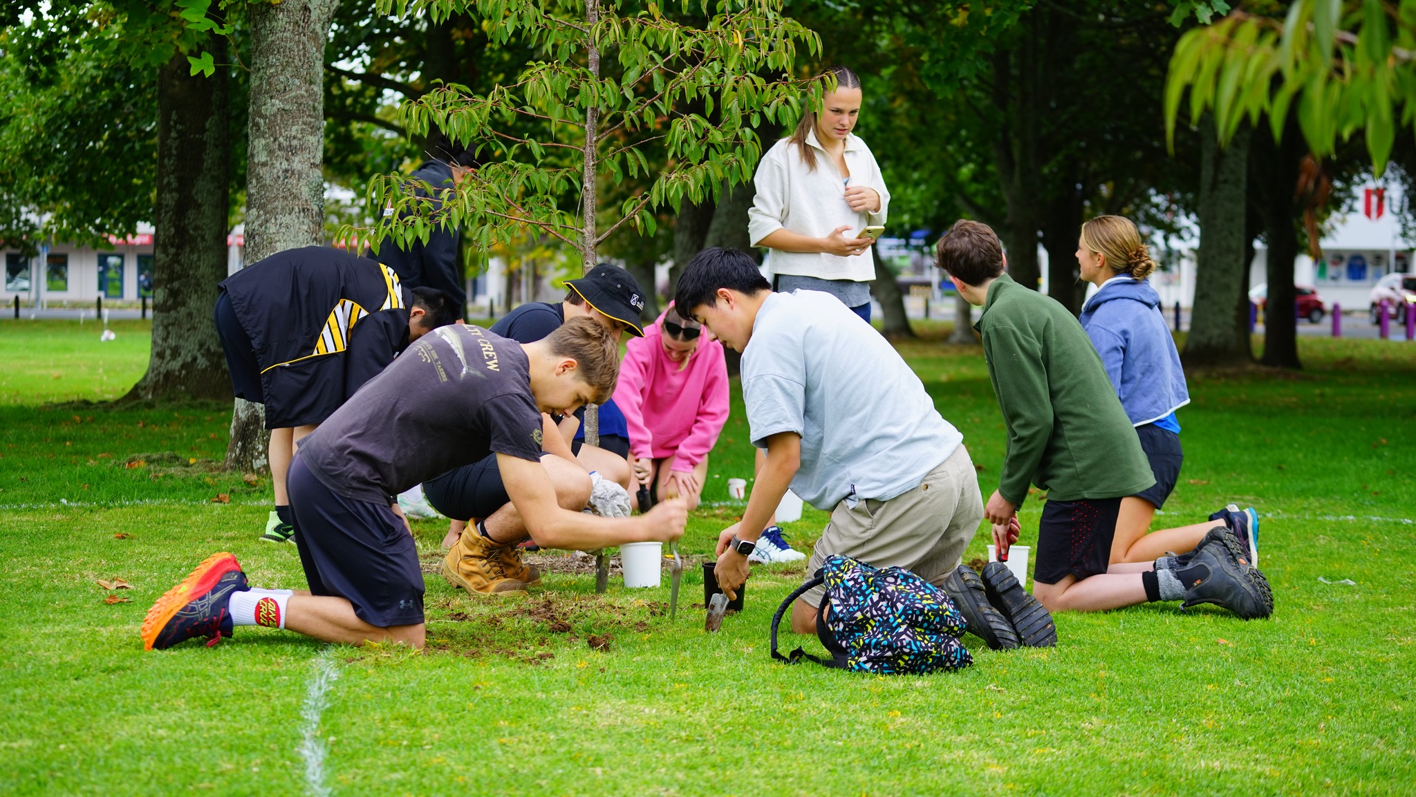 Memory Meadow Tauranga