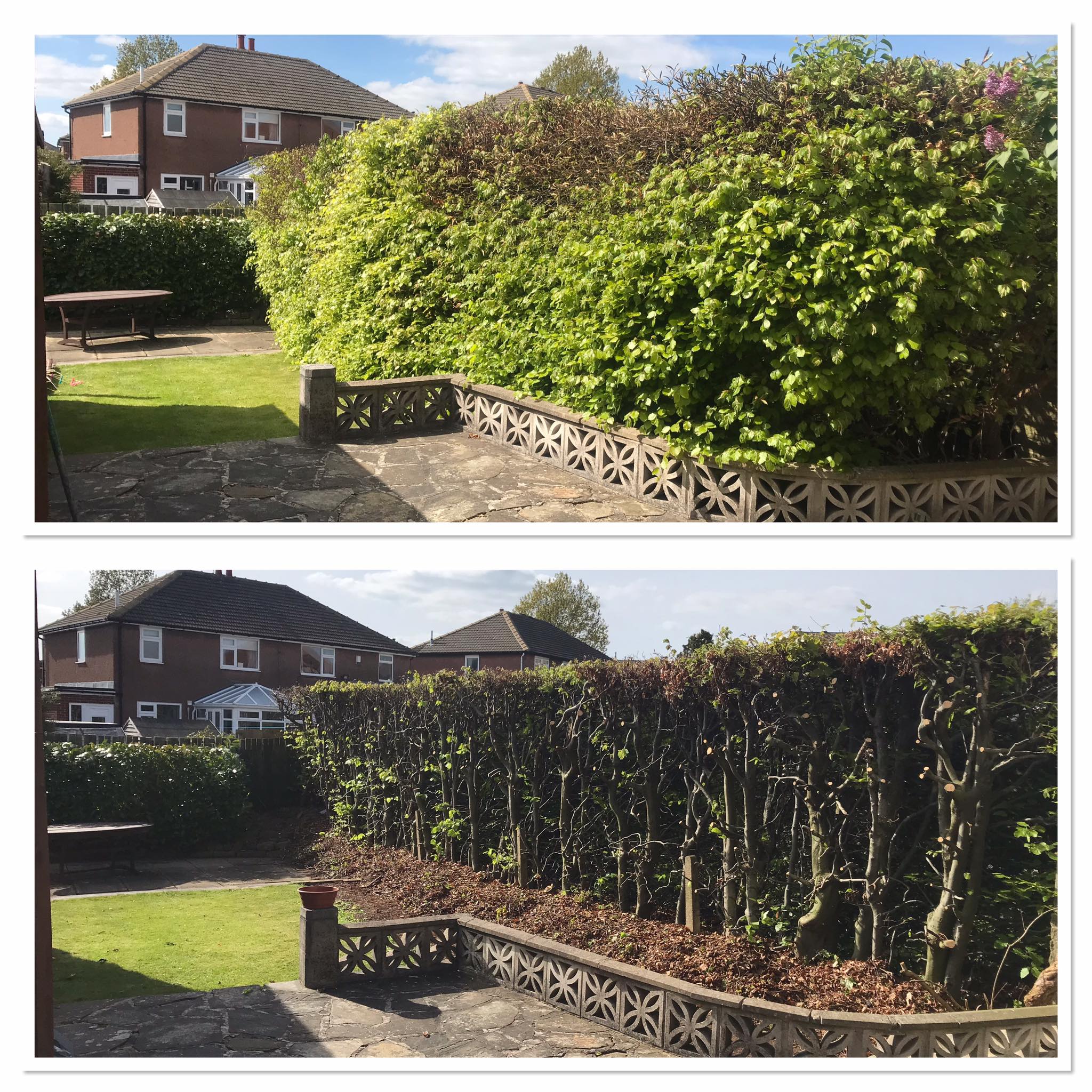 Pictures 1 & 2: Width... - West Riding Tree & Hedge Care | Facebook