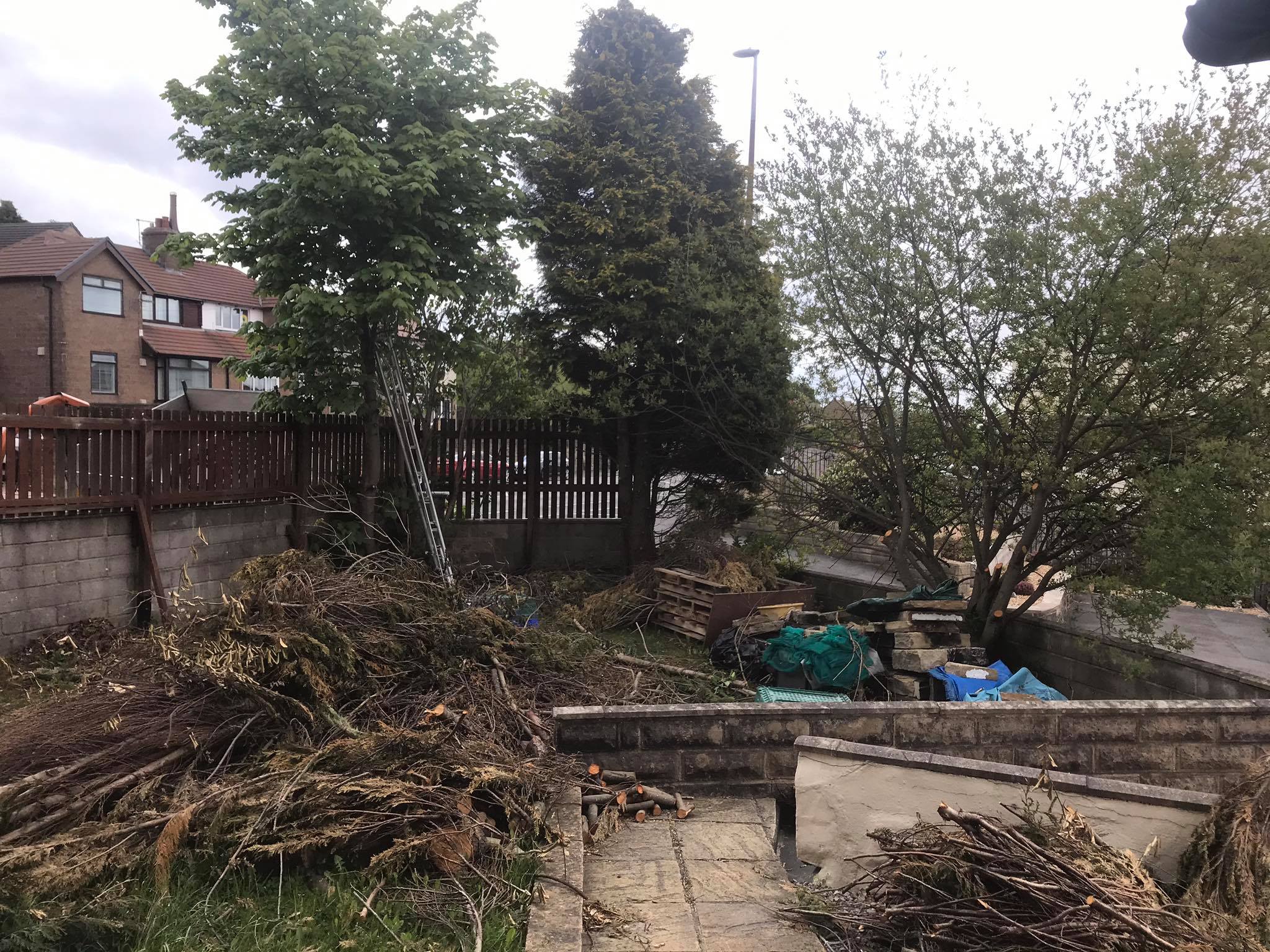 Pictures 1 & 2: Width... - West Riding Tree & Hedge Care | Facebook