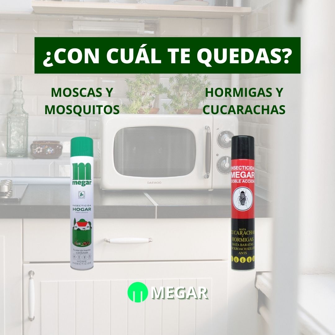 La aparición de insectos en... - Industrias Químicas Megar | Facebook