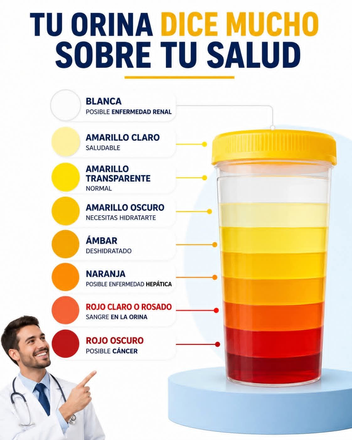 Notas la orina de color amarillo fluorescente mientras estás tomando Complejo B? El Complejo B está compuesto por varias vitaminas hidrosolubles del grupo B, entre las cuales la riboflavina (vitamina B2) es