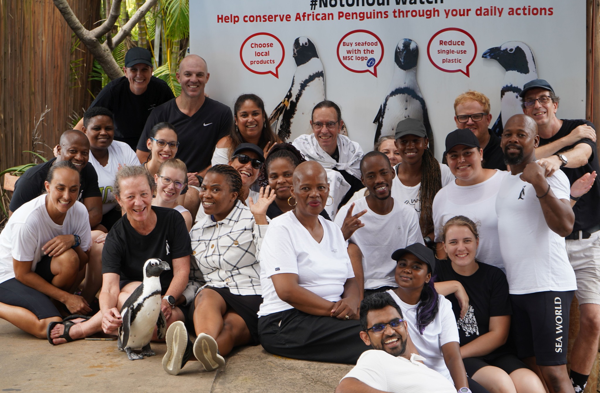 SAAMBR - Today is Penguin Awareness Day and in support of the fantastic ...