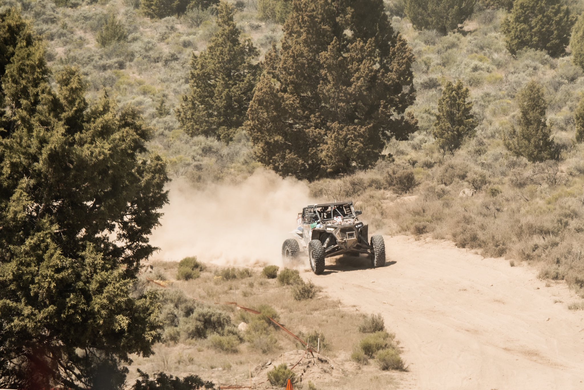 Total Mayhem Racing