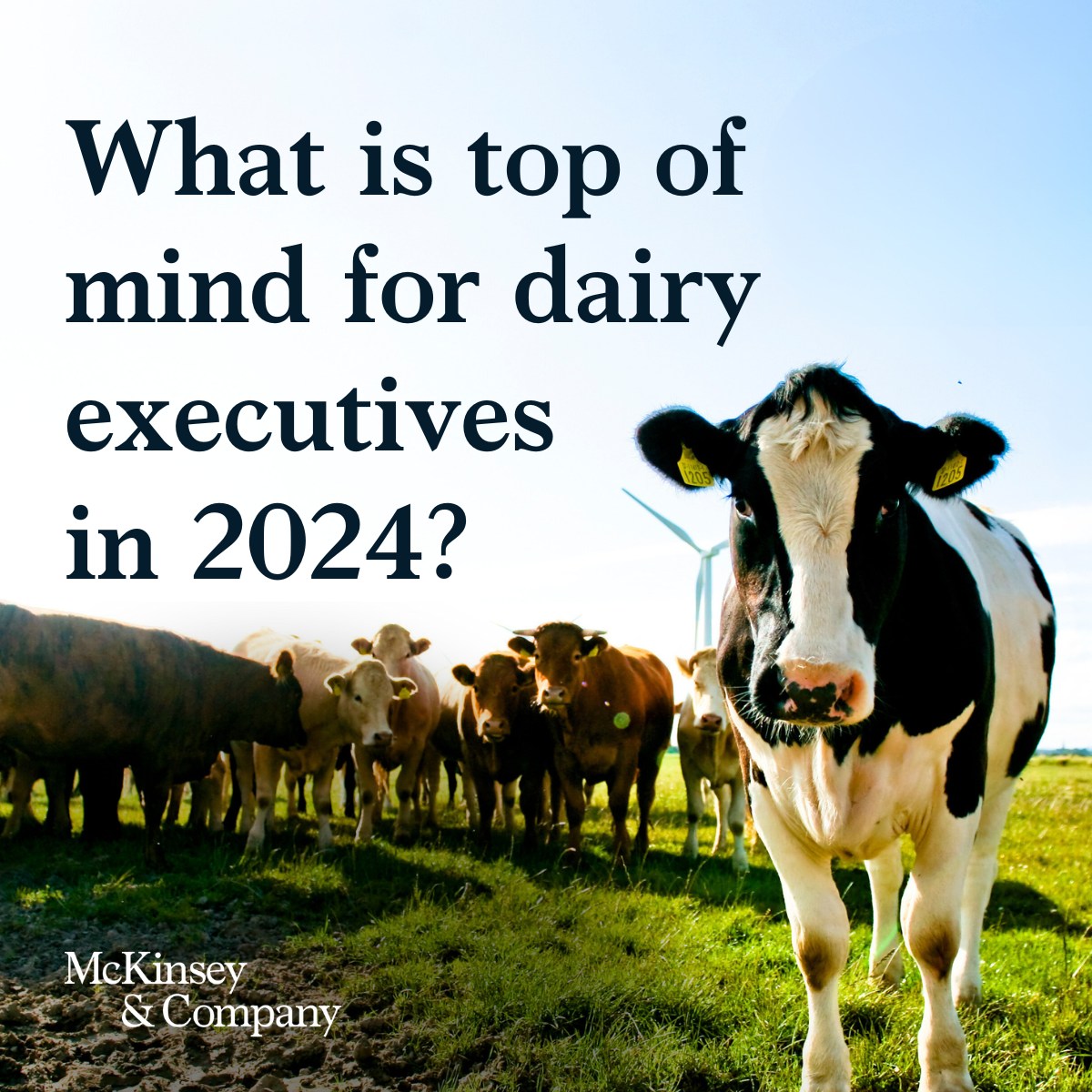 How will the US dairy industry evolve... - McKinsey & Company