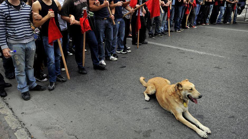 Working Class History - On this day, 9 October 2014 the Greek 'riot dog ...