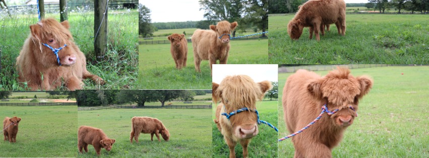 Cypress Creek Ranch | Bonifay FL