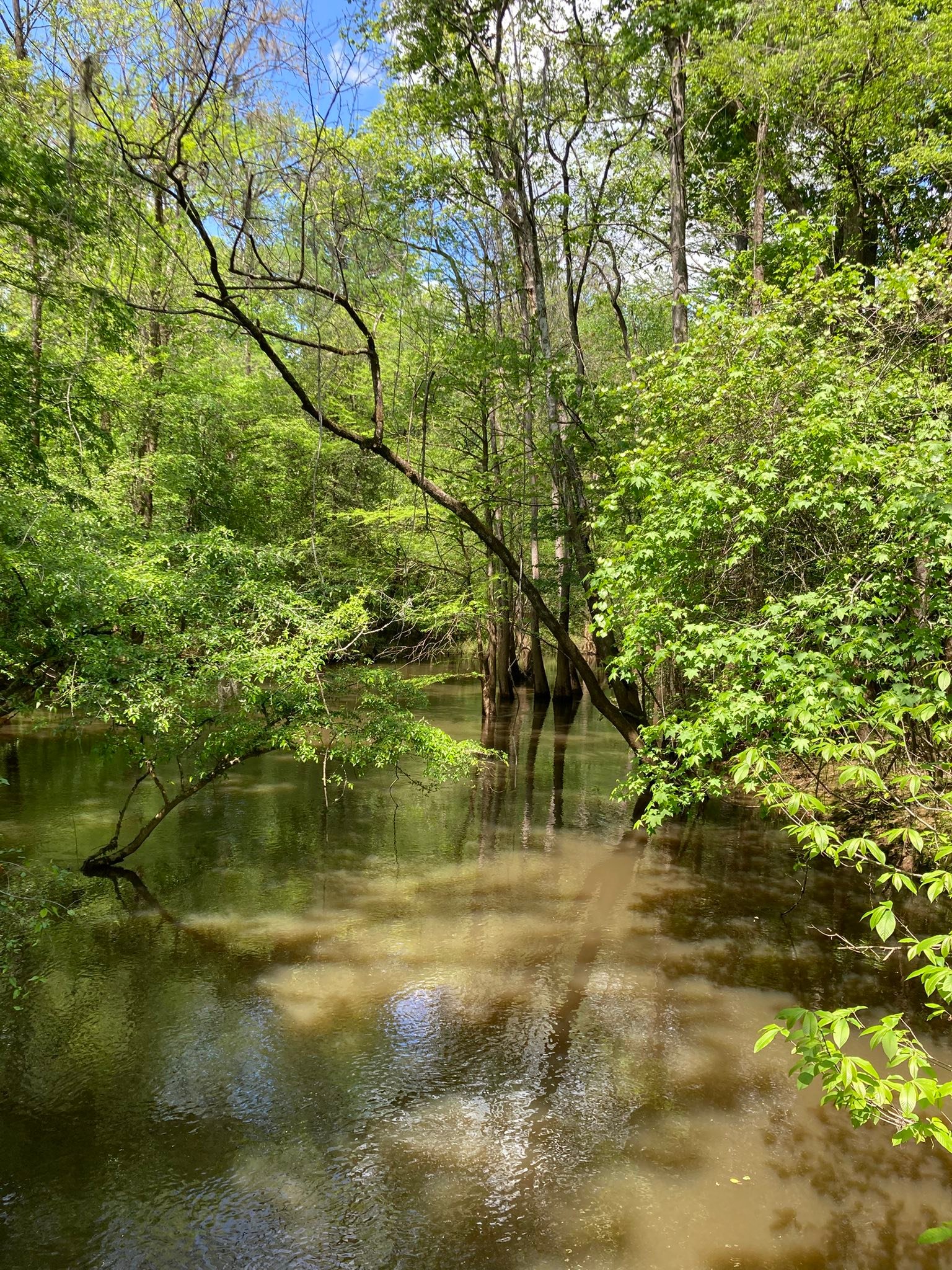 Onslow County Adventure Club | Facebook