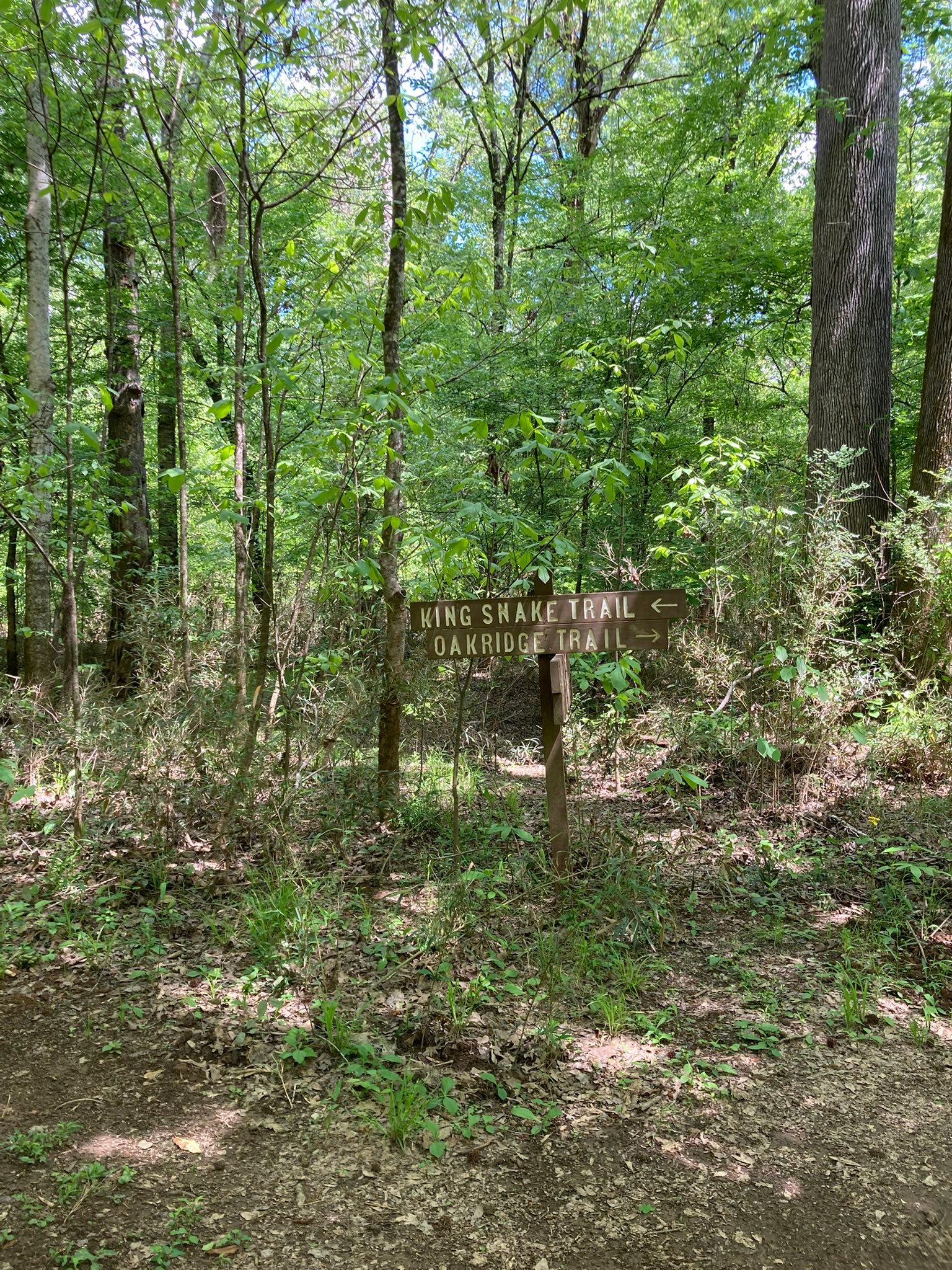 Onslow County Adventure Club | Facebook