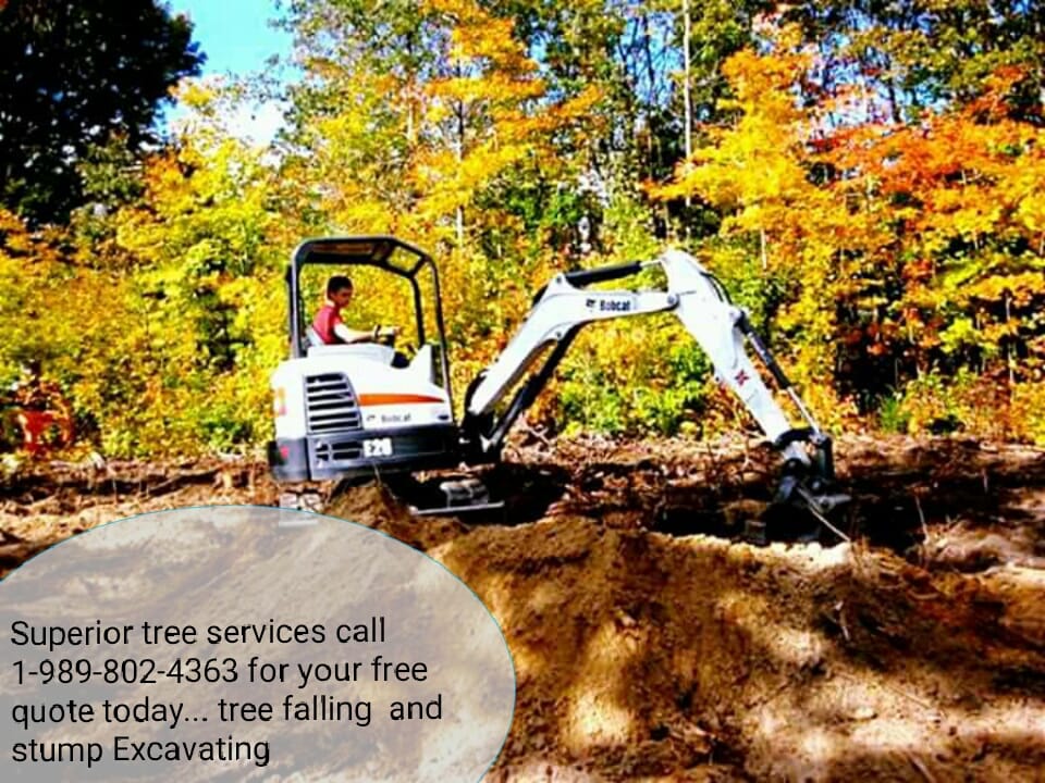 Superior Tree Services
