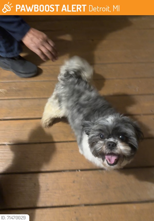 UPDATE: REUNITED!! Suzy is home safe & sound after 2 days, 7 hours