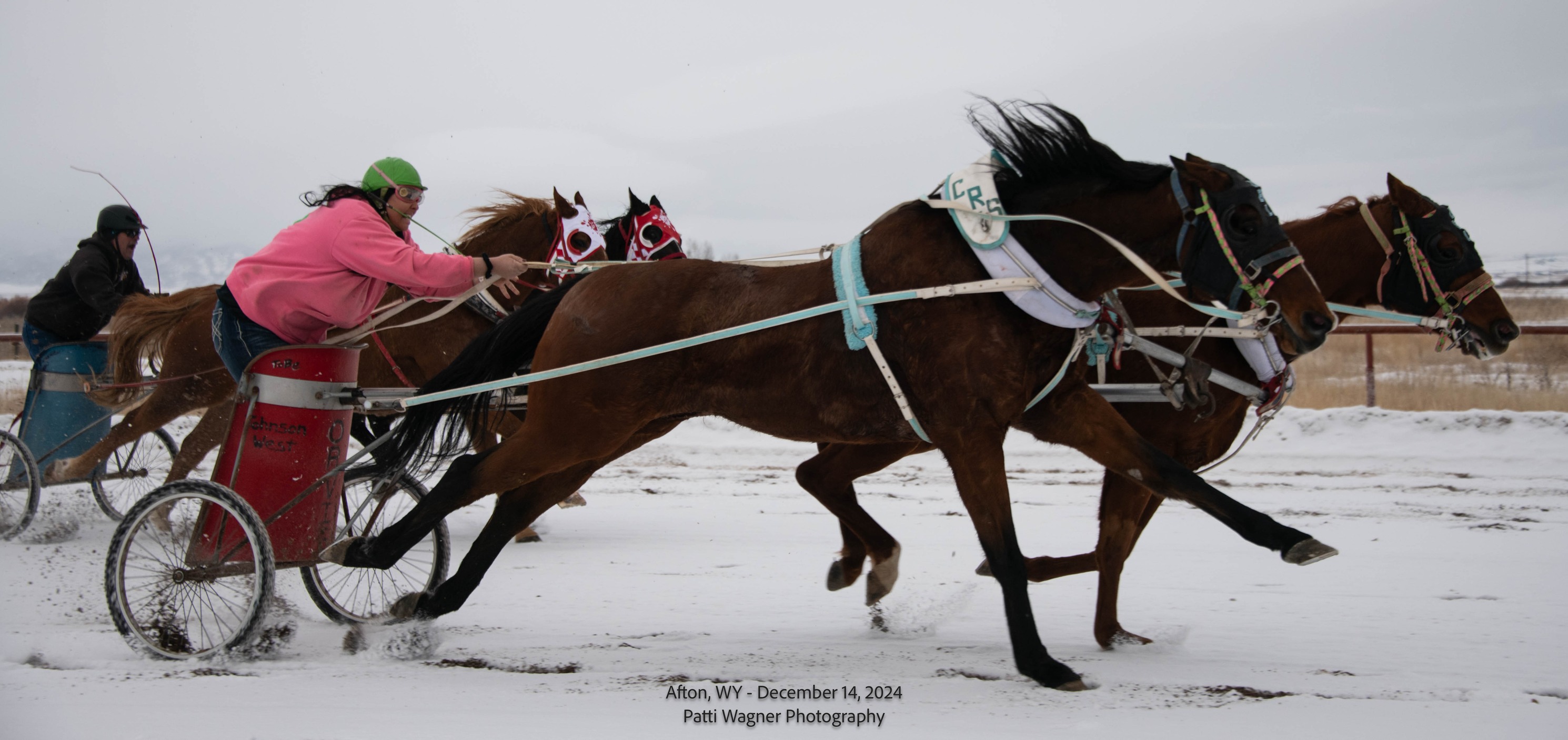 All American Cutter/Chariot Races - Afton, WY | Afton WY