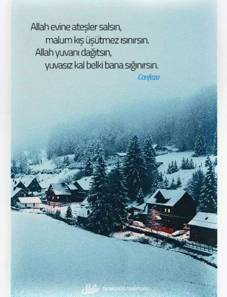 canfeza allah yuvani dagitsin yuvasiz kal belki bana siginirsin facebook