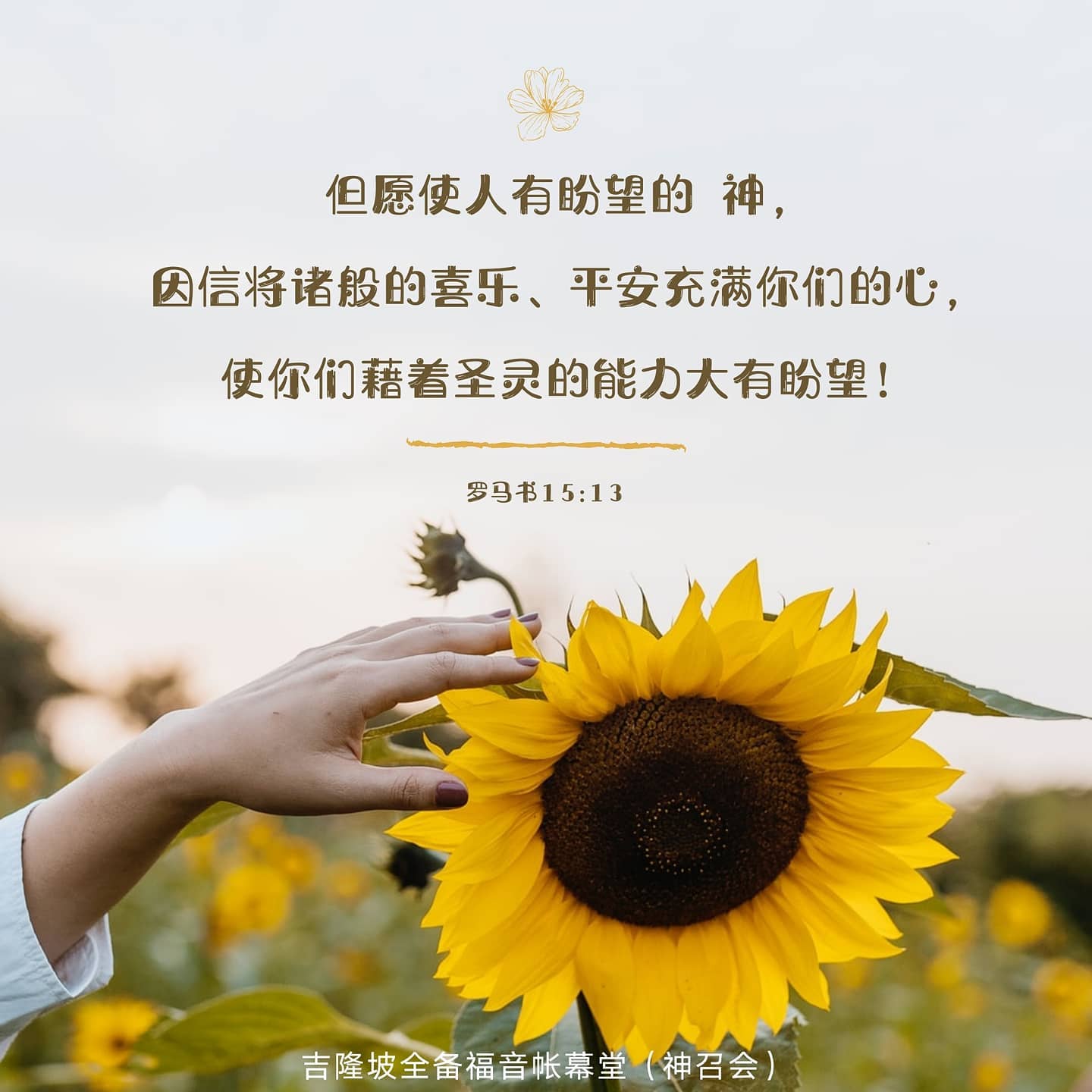 FGT AG - 神是我们的盼望，是我们的依靠，也是行神迹奇事的神。 💡 罗马书 15 : 13...
