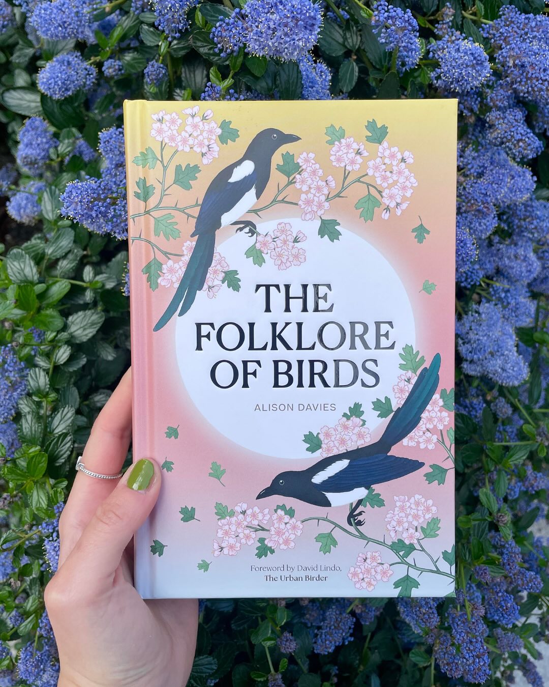 quartobooksuk-the-folklore-of-birds-the-forgotten-tales-facebook