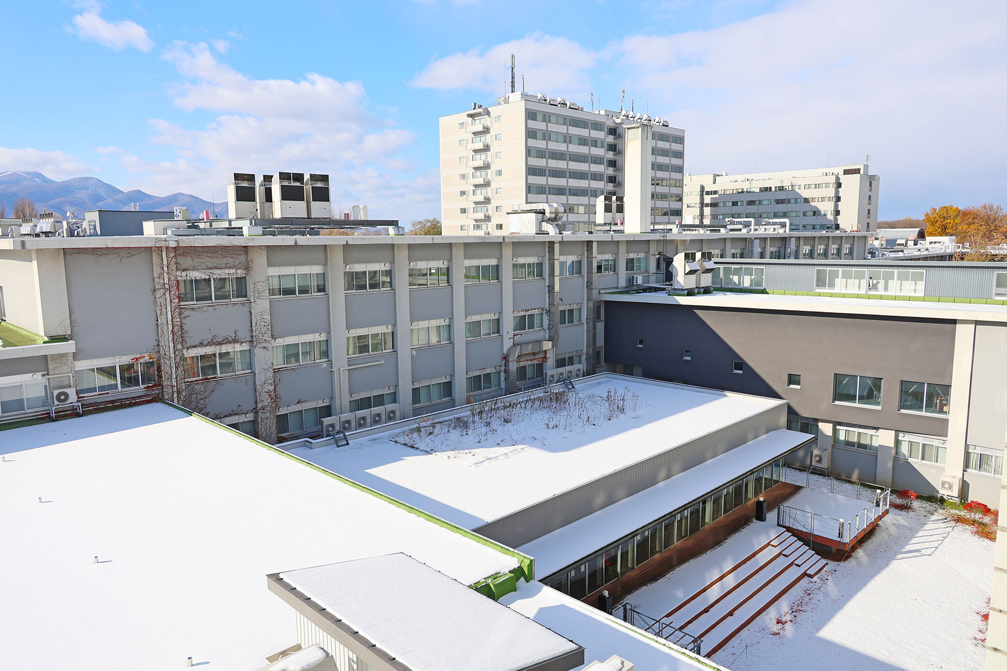 北海道 大学 工学部