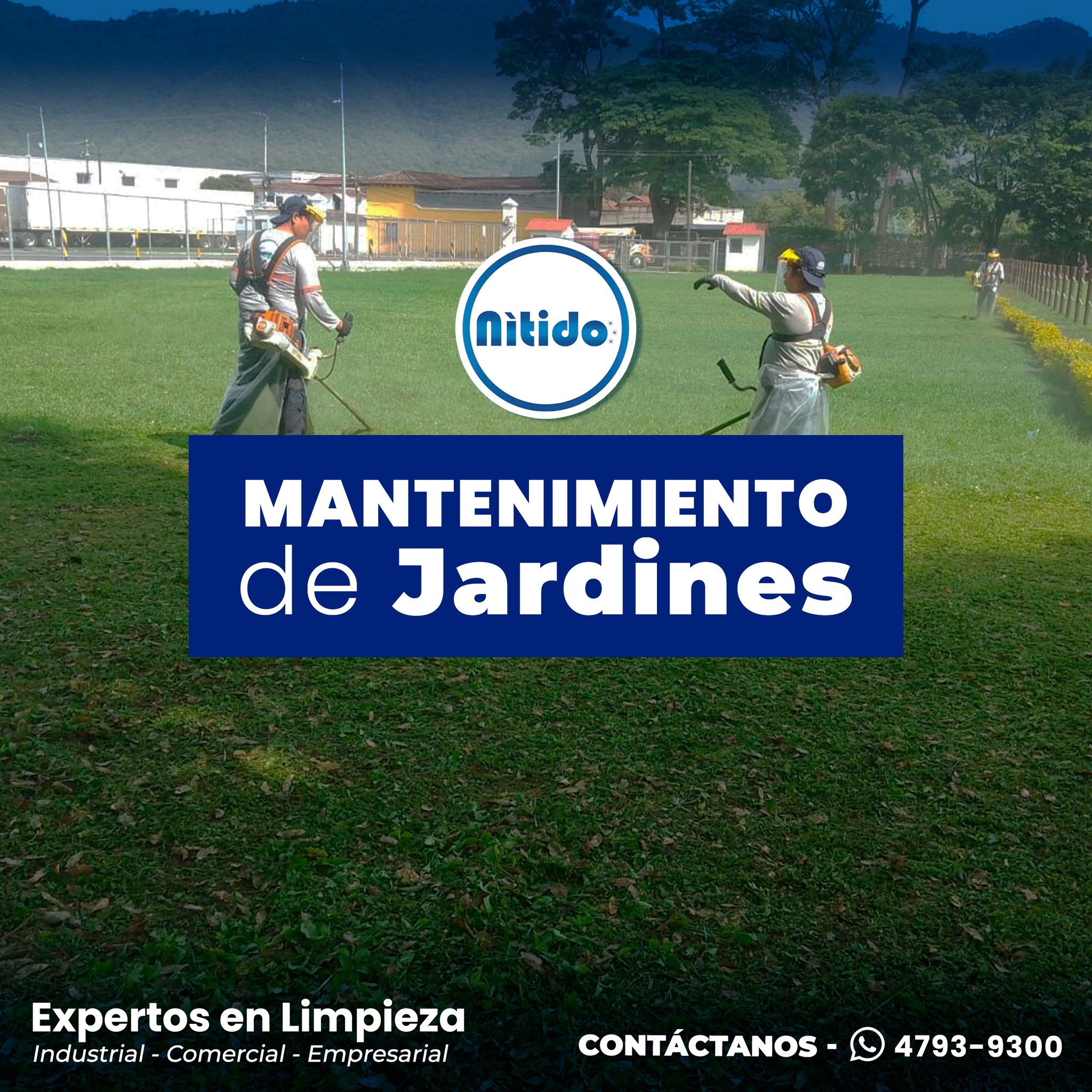 Nítido - ¿Quieres que tu jardín luzca espectacular todo el año? En ...