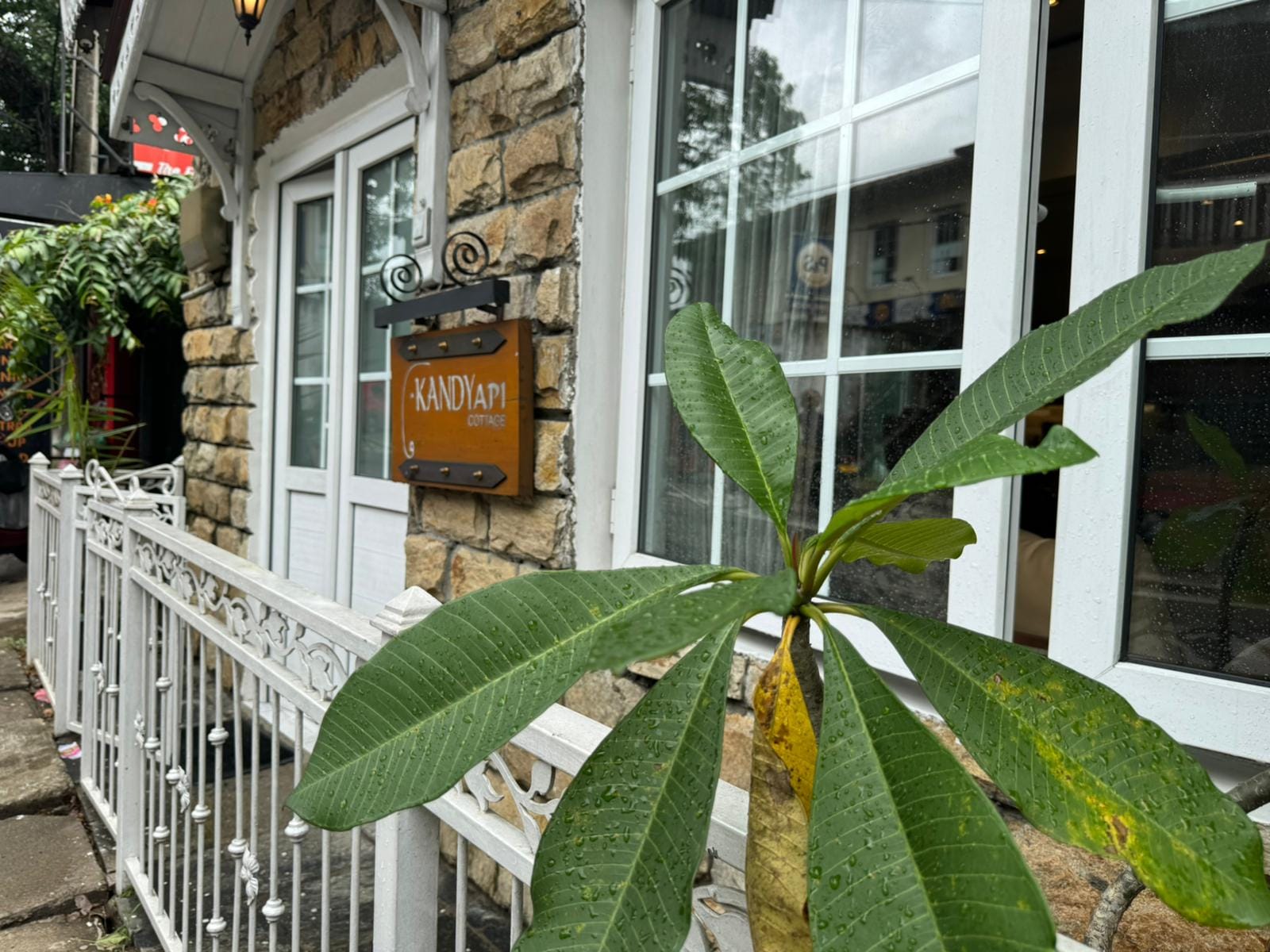 KANDY API Cottage | Kandy