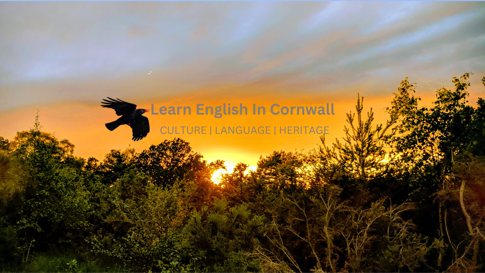 Learn English in Cornwall