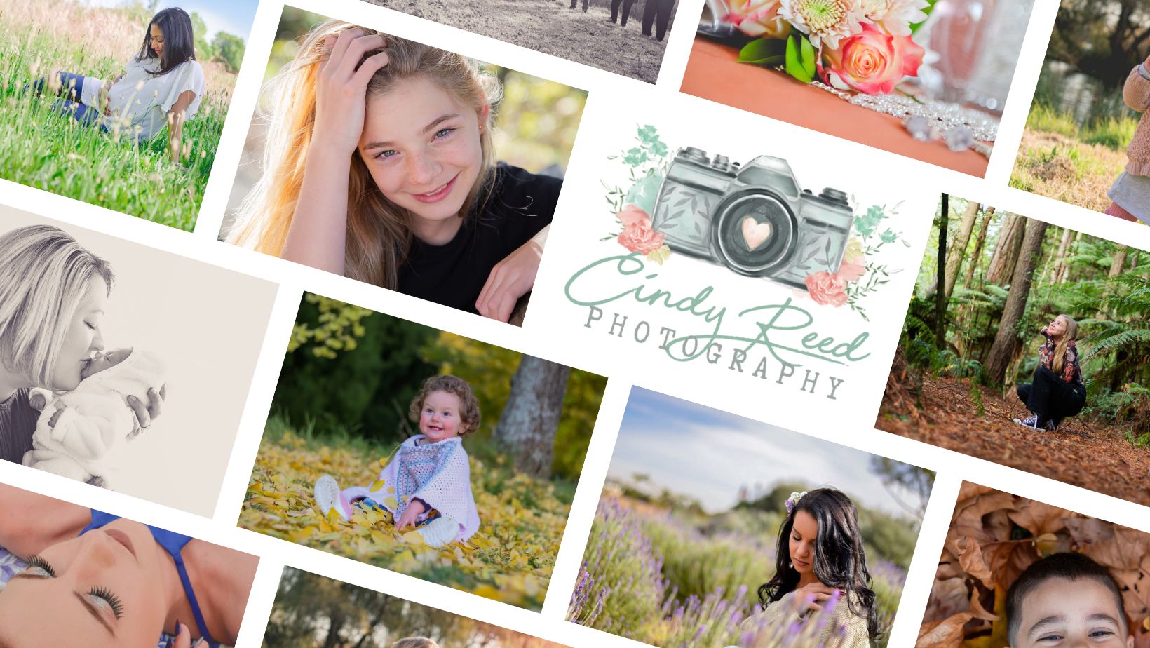Cindy Reed Photography