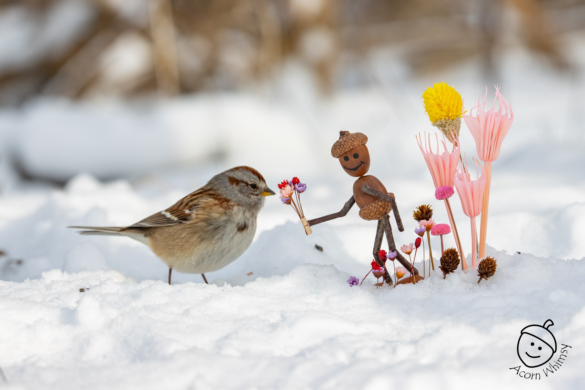 Acorn Whimsy - On this day of love, show some kindness to others ...