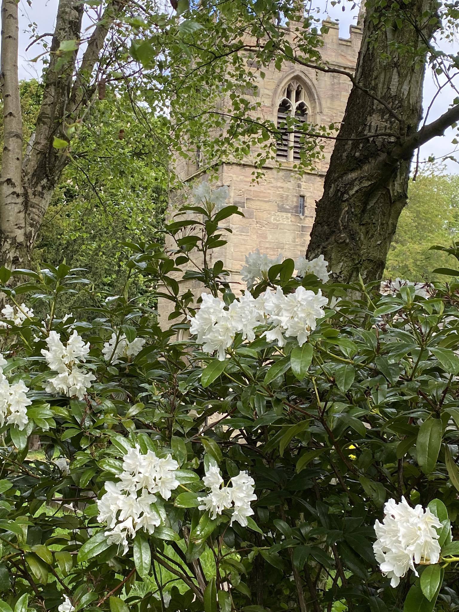 St Peter & St Paul, Todwick | Todwick
