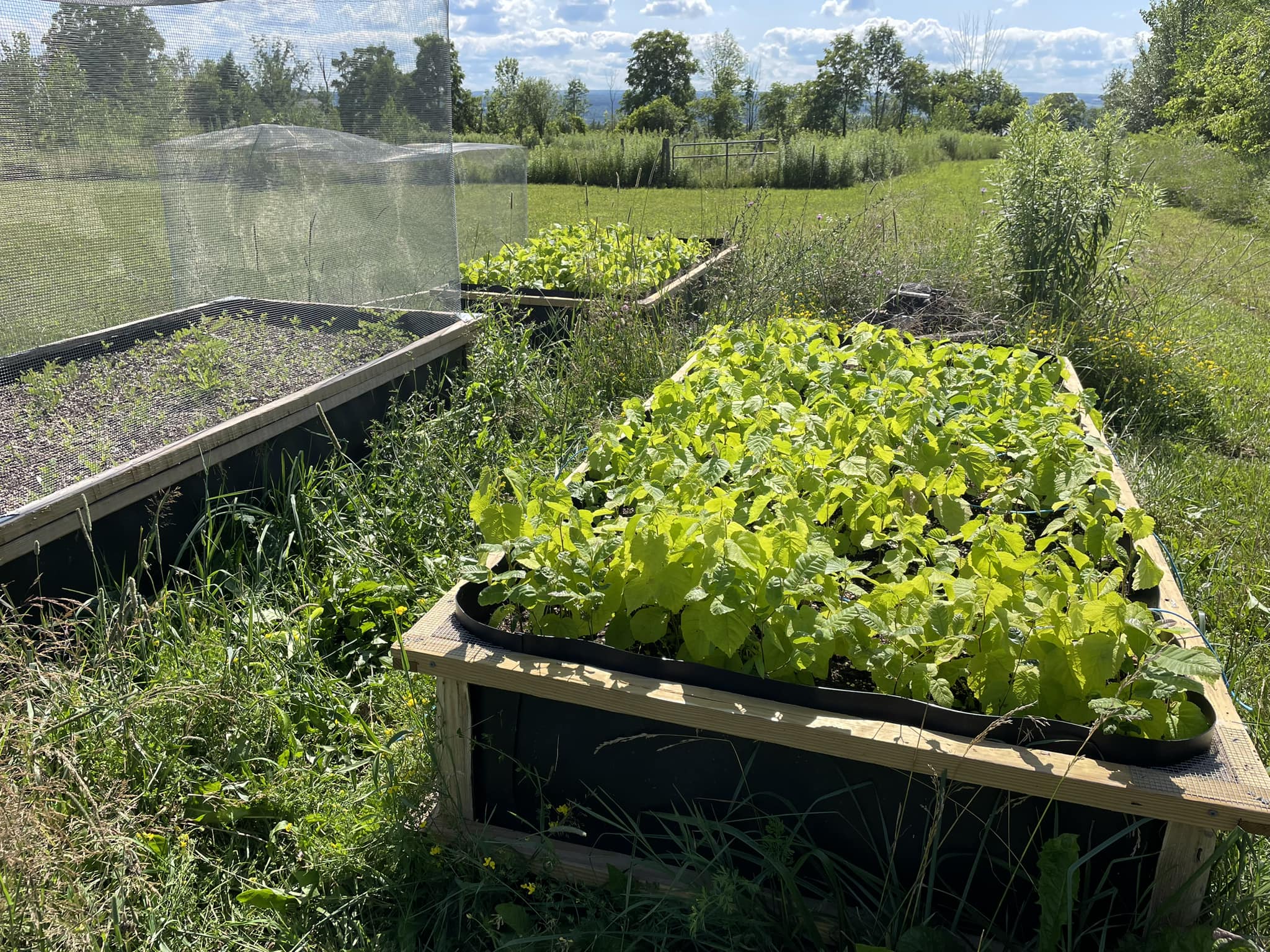 Shepherd Ridge Farm | Lansing NY