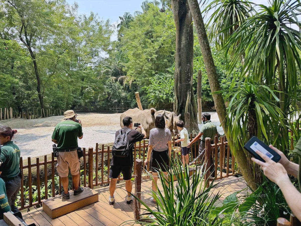 台灣親子一日遊/國外親子旅遊飯店 | 「**新加坡動物園 」Singapore Zoo** 位於萬禮野生動物保護區必玩景點之一，新加坡親子景點 ...