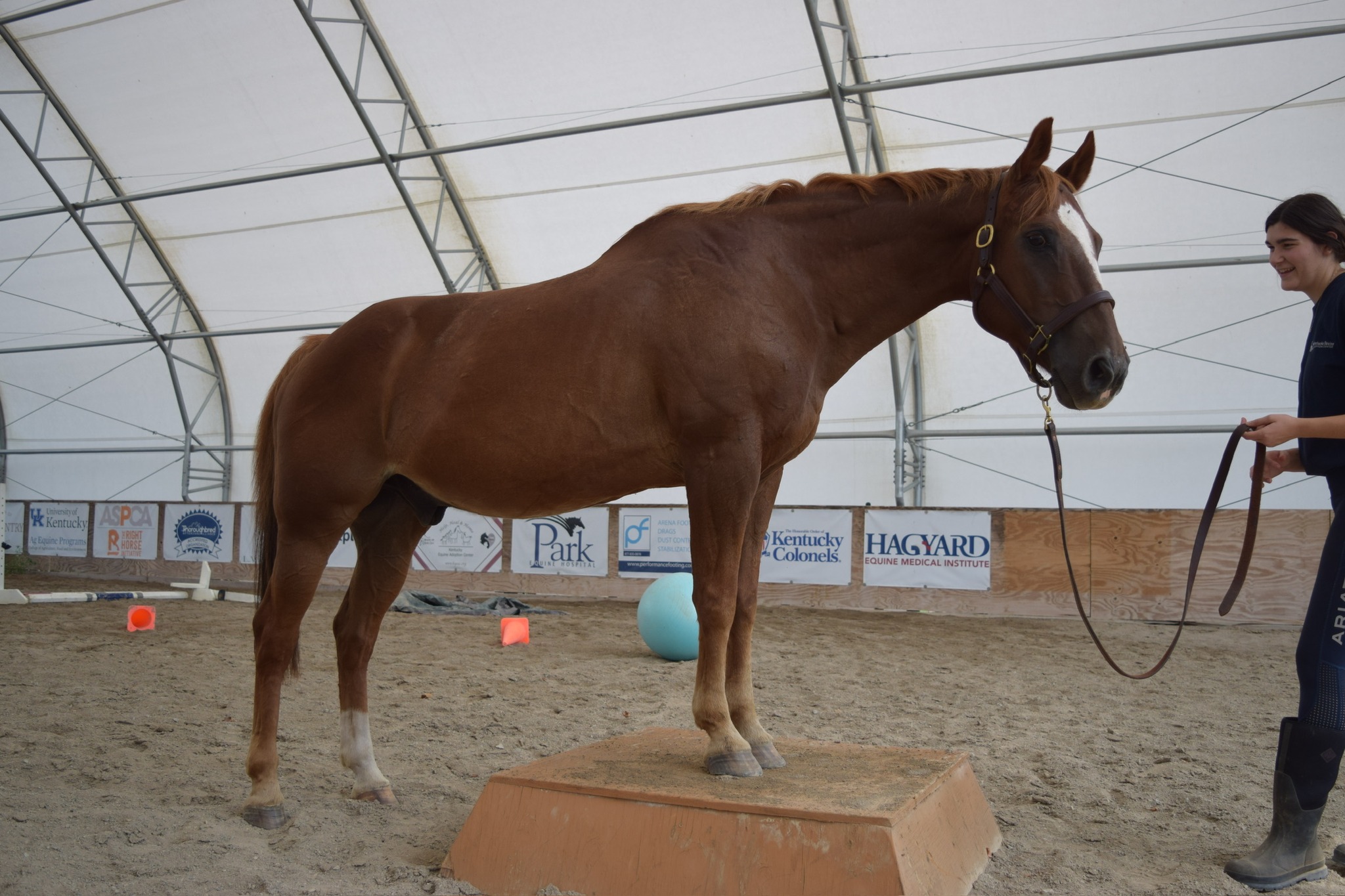 Kentucky - Join us for Stable Foundations—an 8-week, hands-on program ...