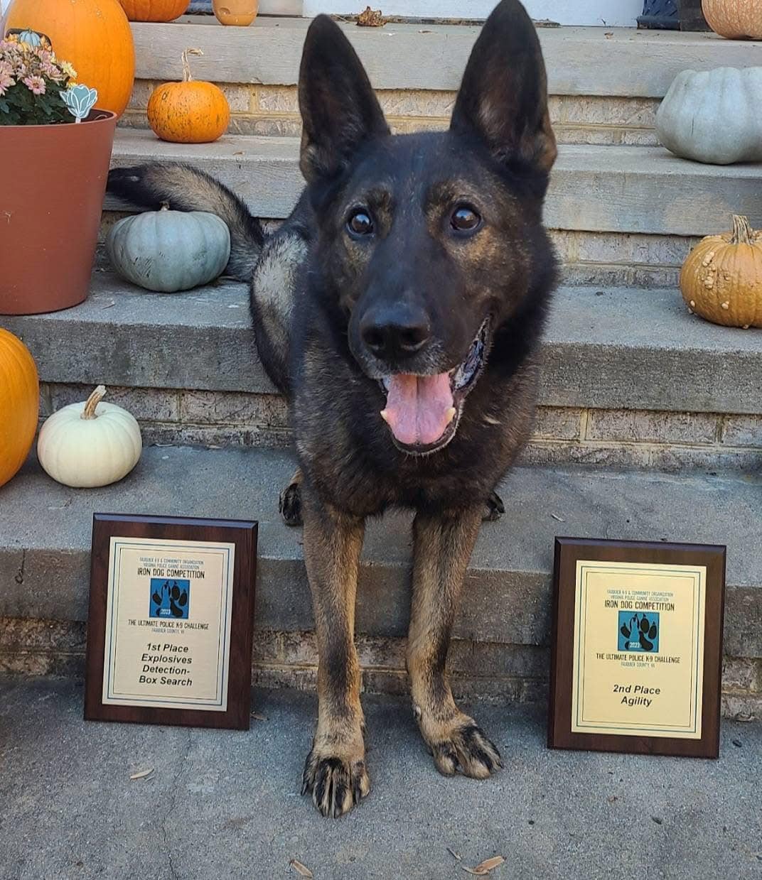 Virginia Police Canine Association | Warrenton VA