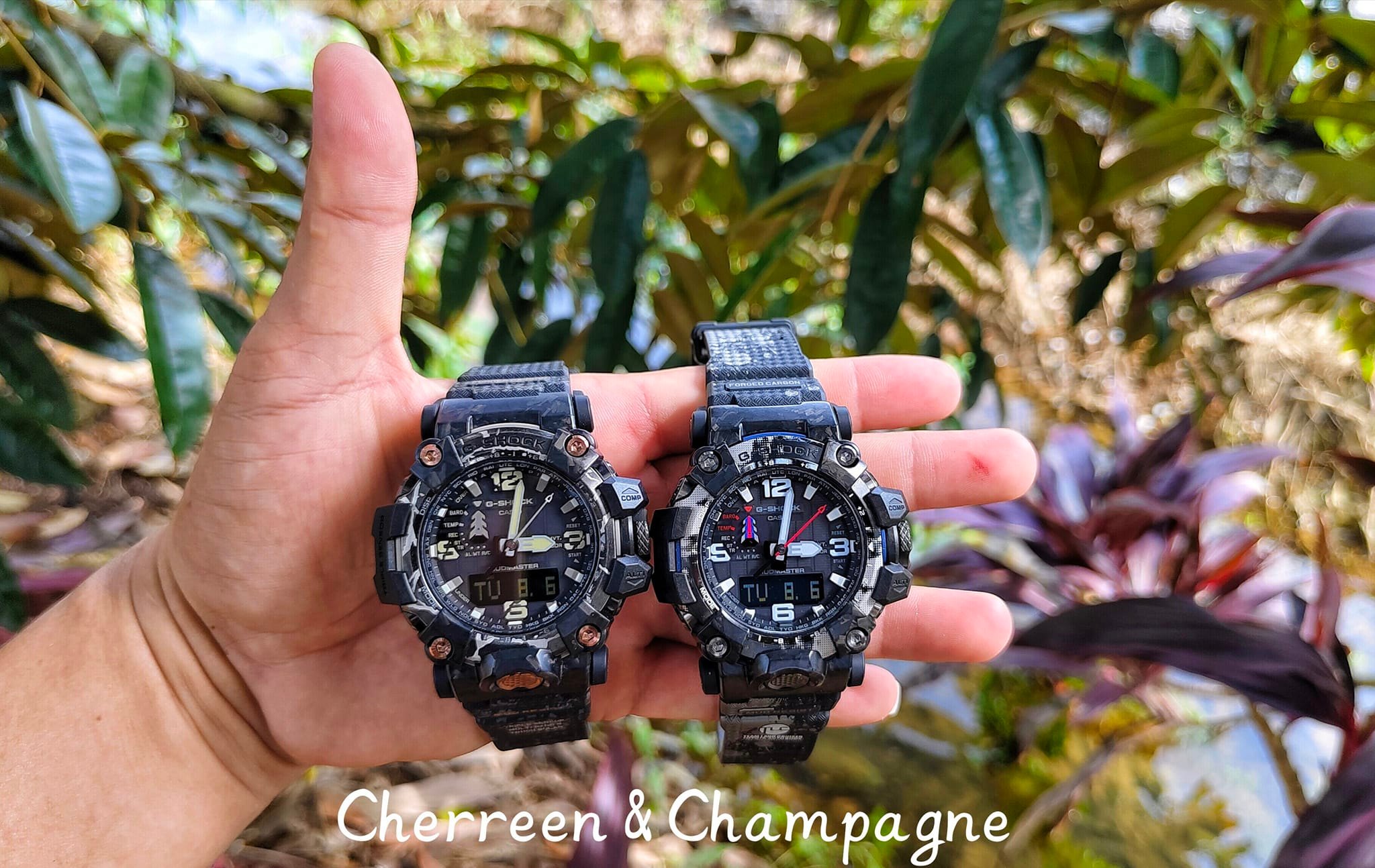 Which G-Shock model should I choose, GWG_2000CR or GWG_2000TLC?