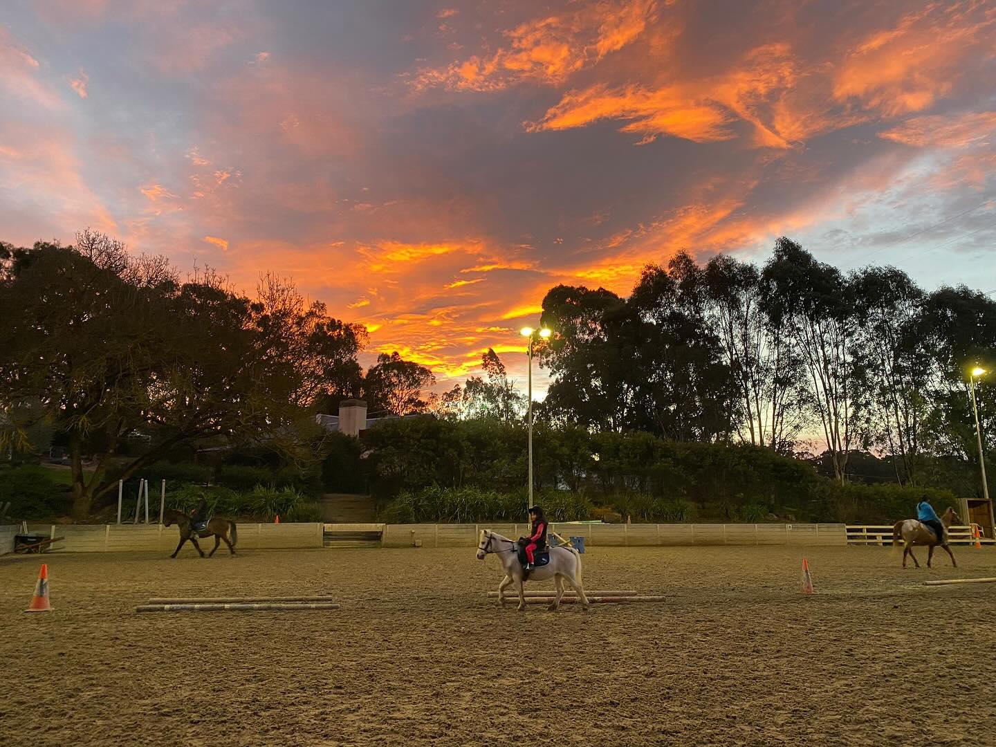Valley Park Riding School | Templestowe VIC