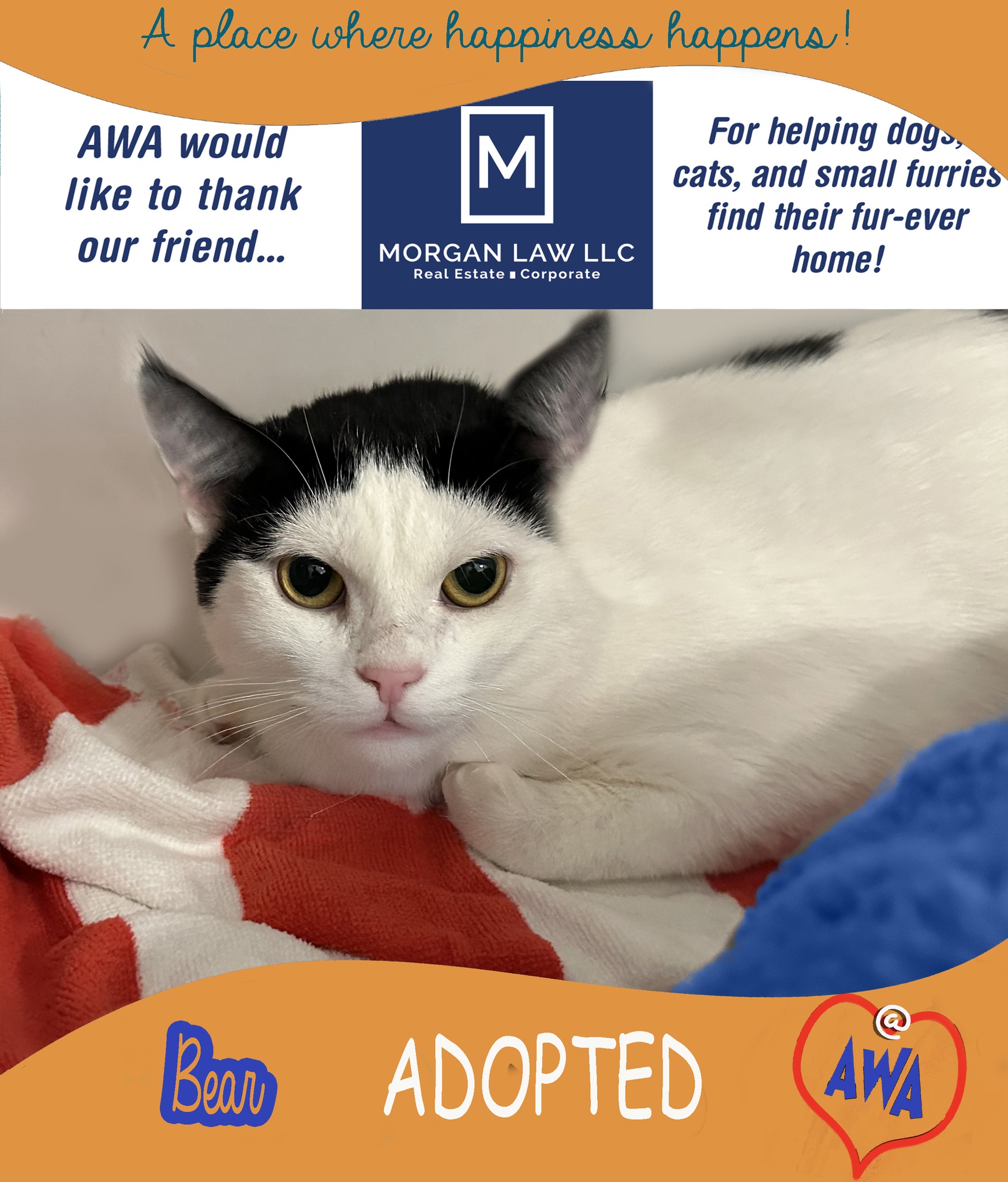 Animal Welfare Association... - Animal Welfare Association