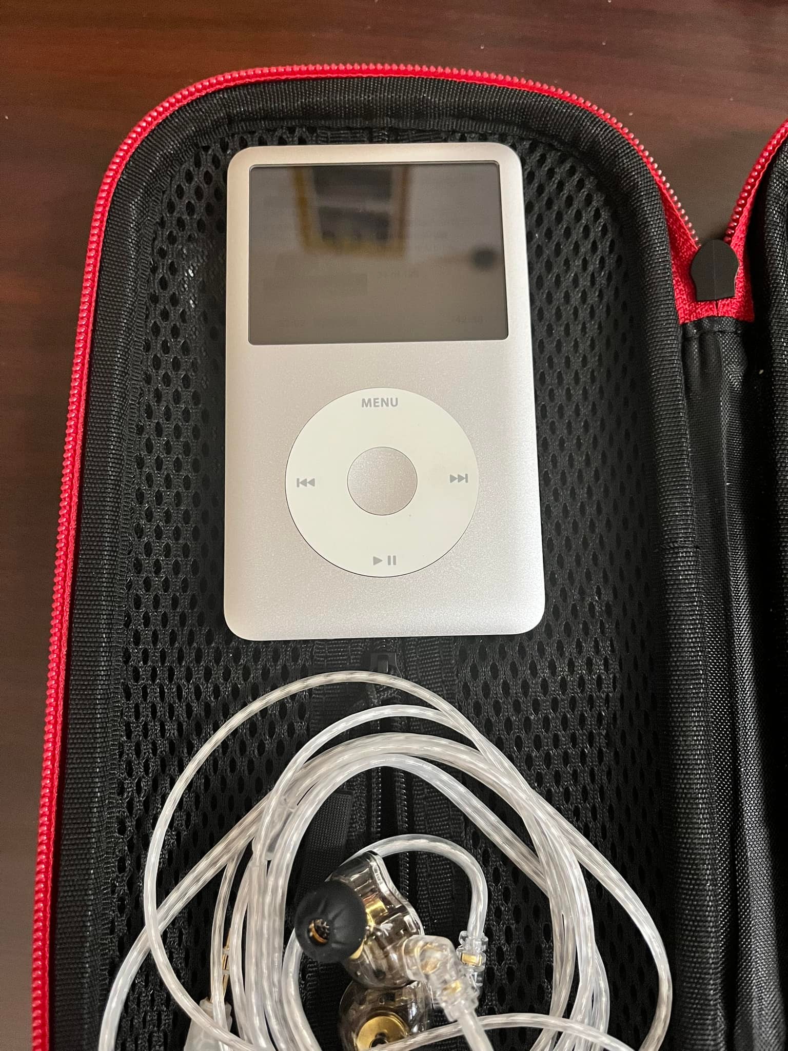 Finding a 7th gen 160GB iPod at a garage sale for $20