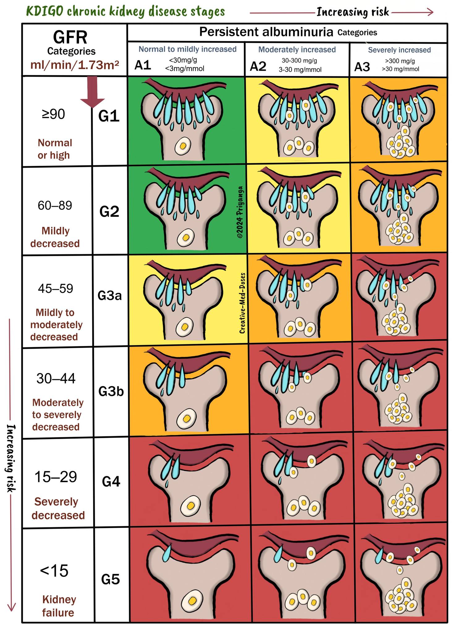 Prognosis of CKD by GFR and Albuminuria categories: KDIGO #MedEd 