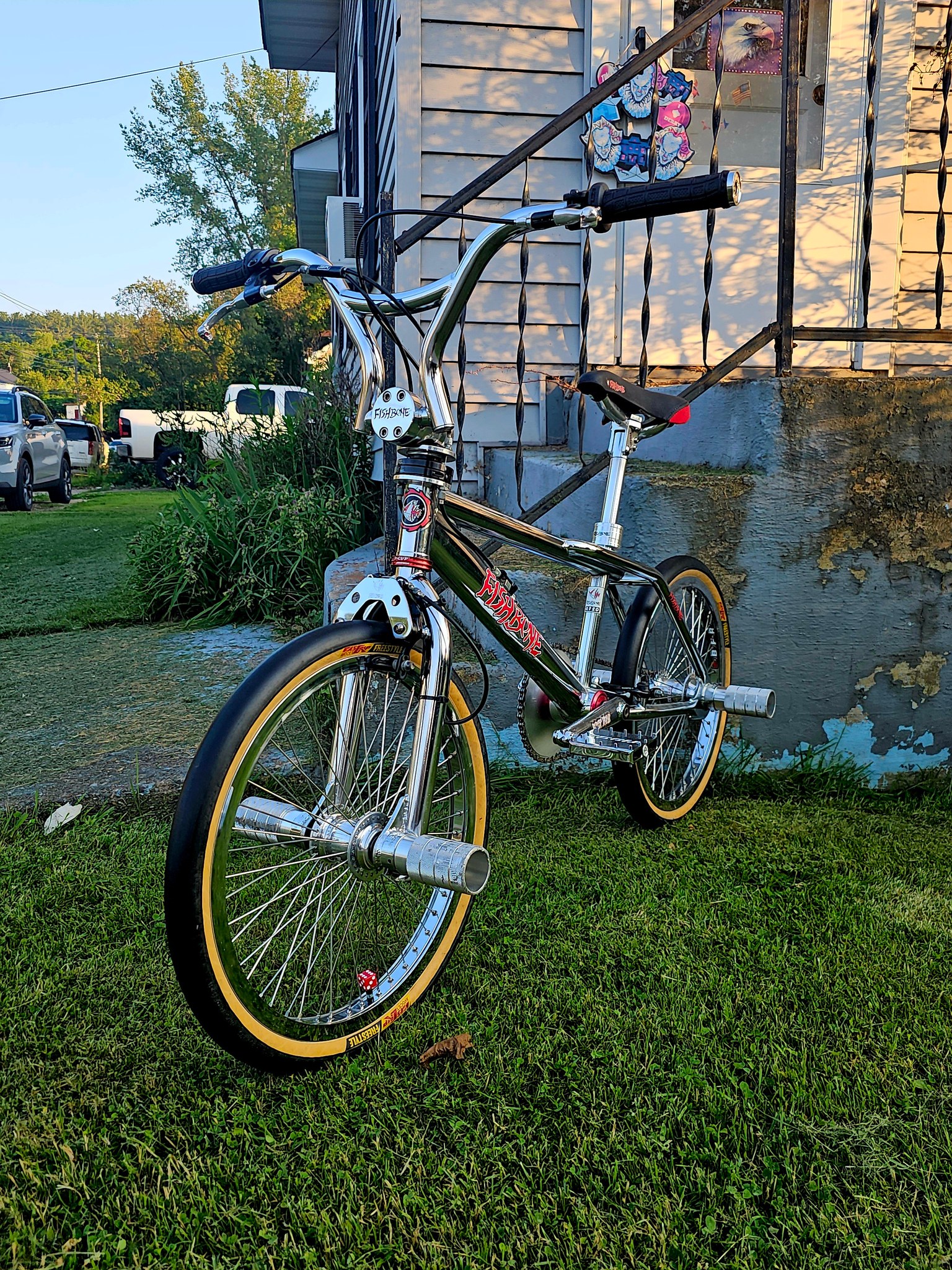 Fishbone BMX bikes as art