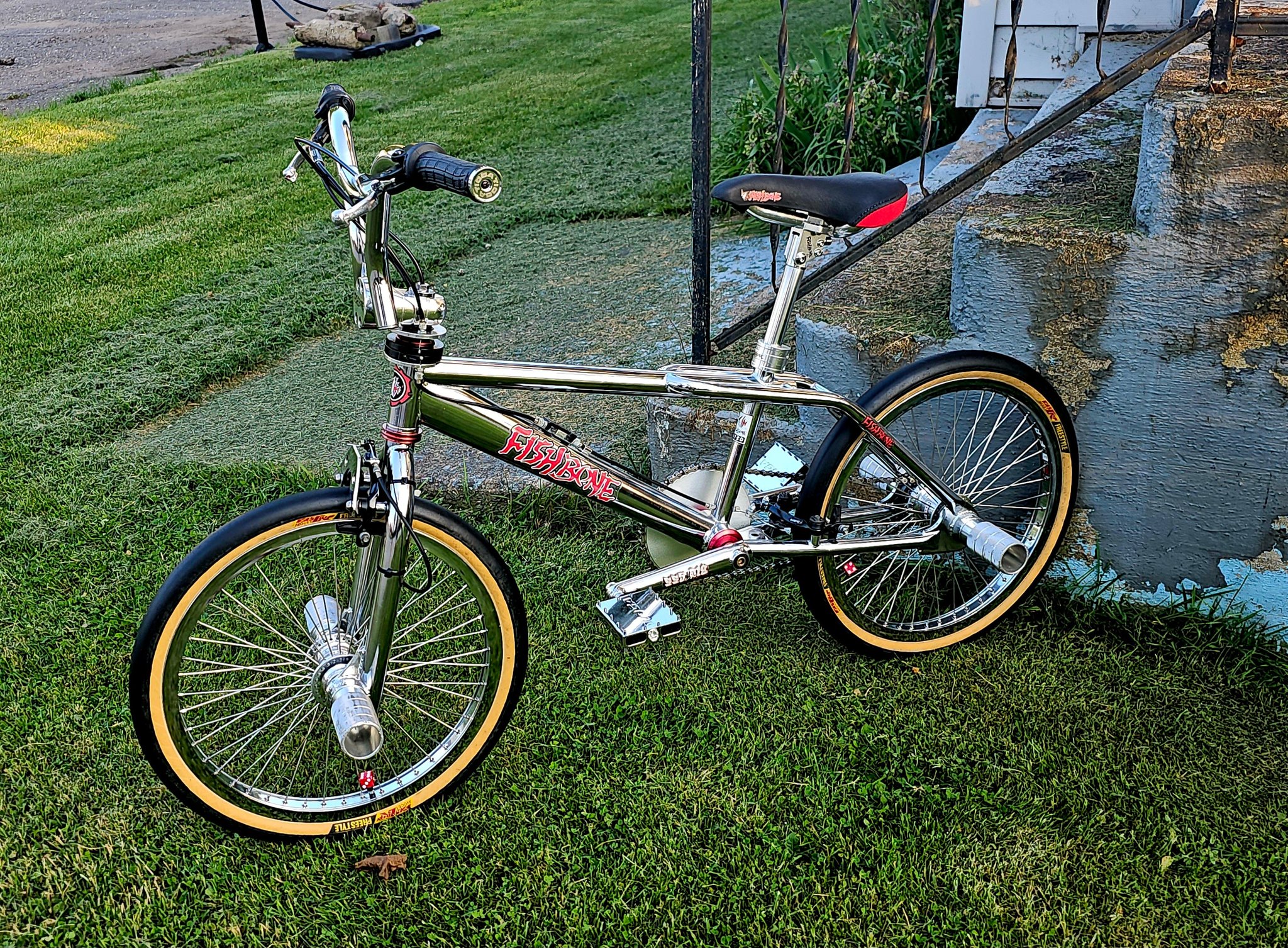 Fishbone BMX bikes as art